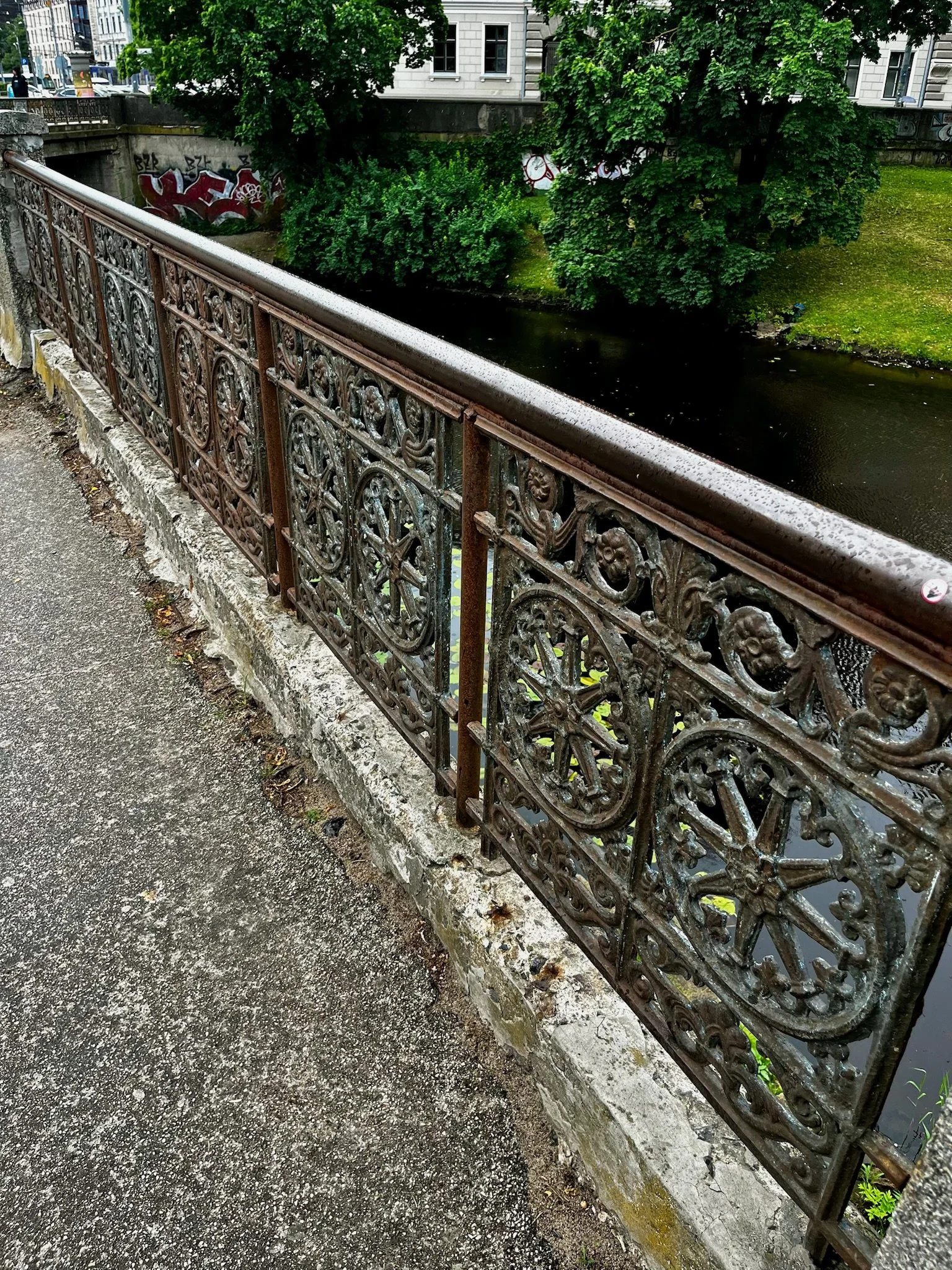IMG_4608.jpeg