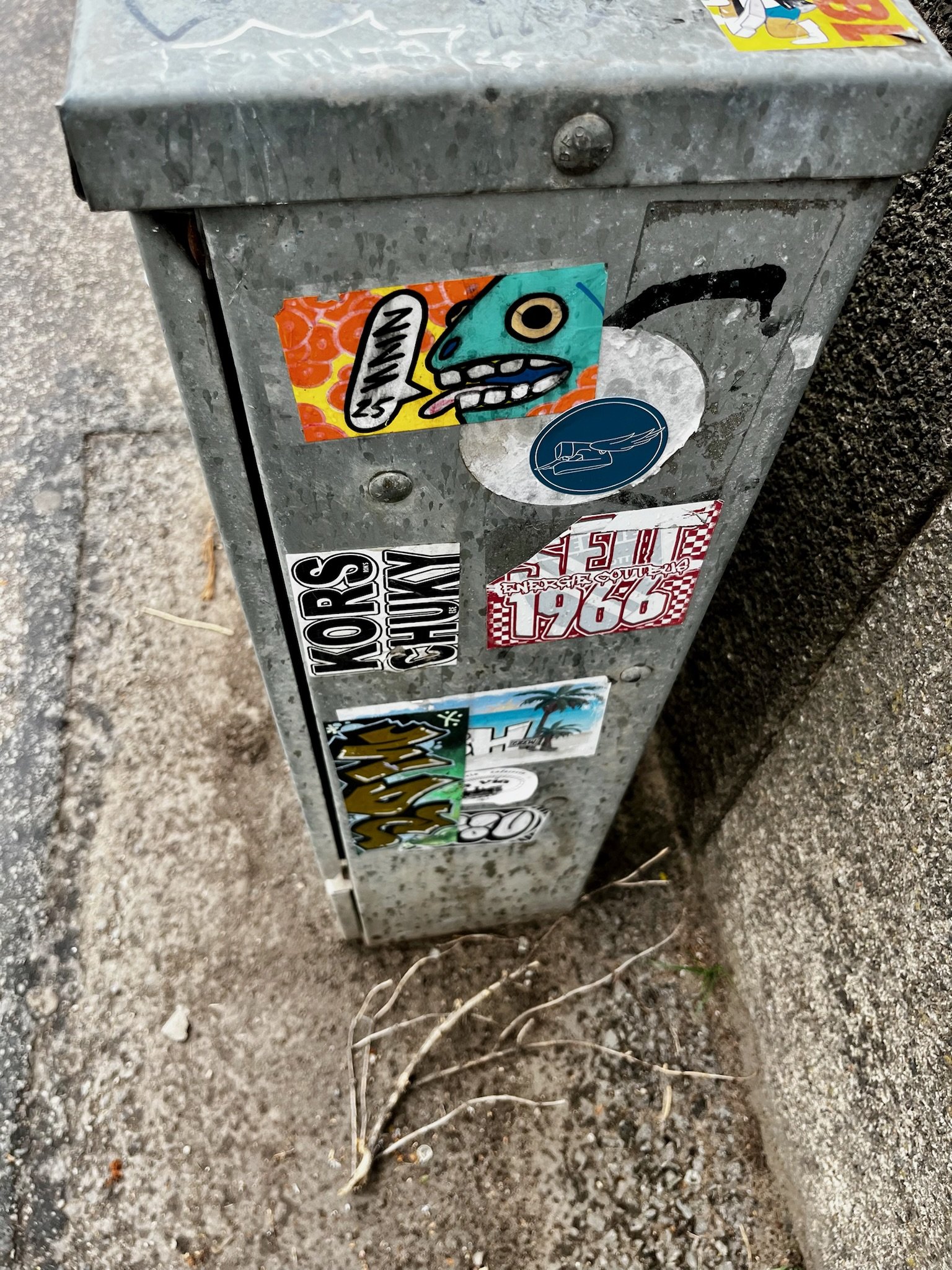 IMG_4610.jpeg