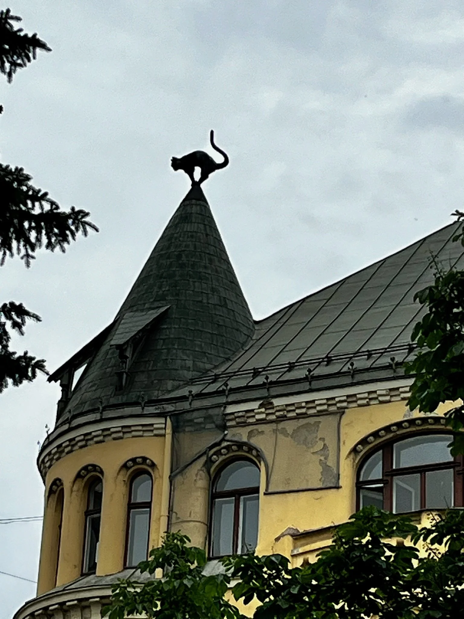 IMG_4635.jpeg