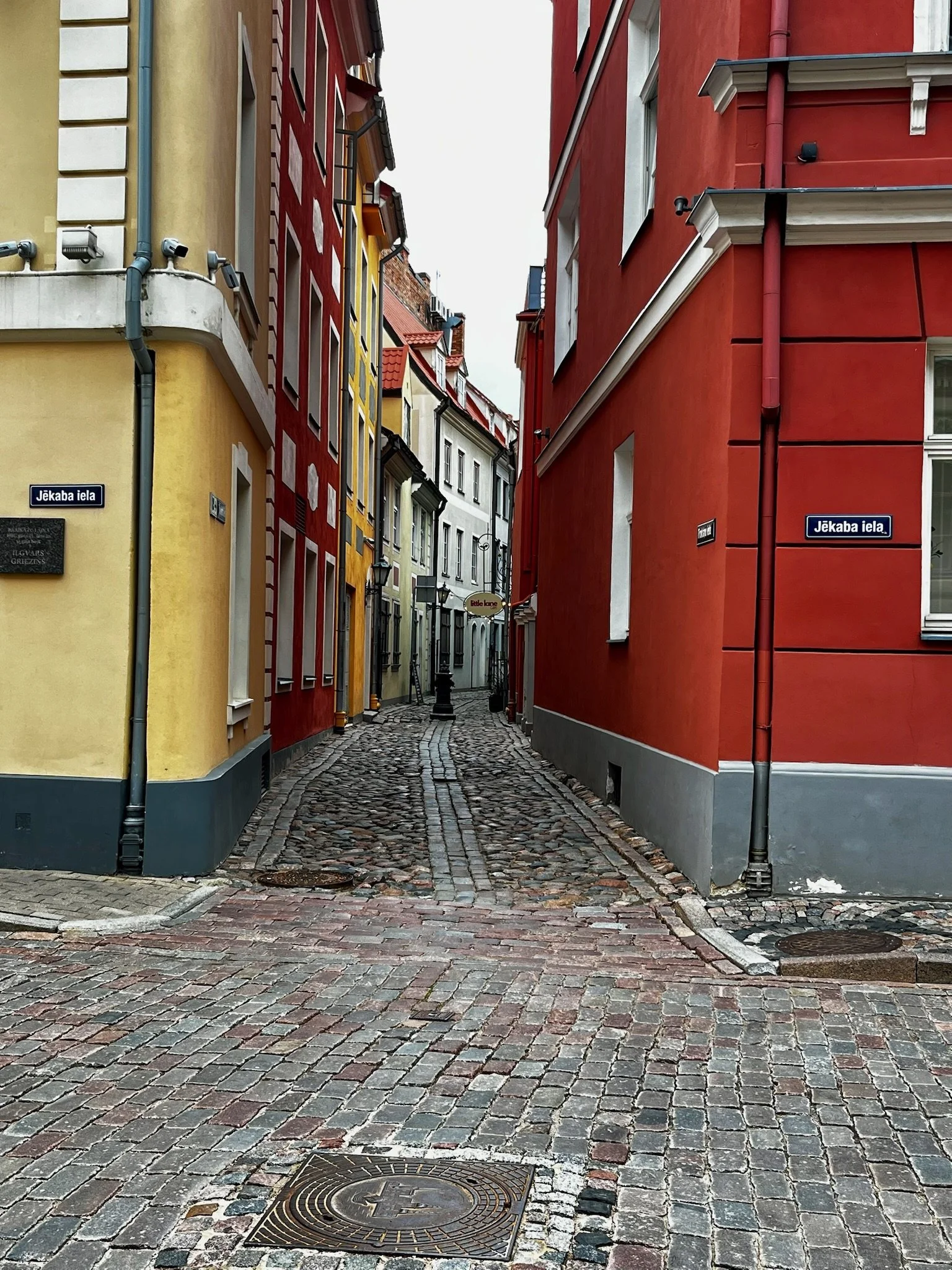 IMG_4648.jpeg