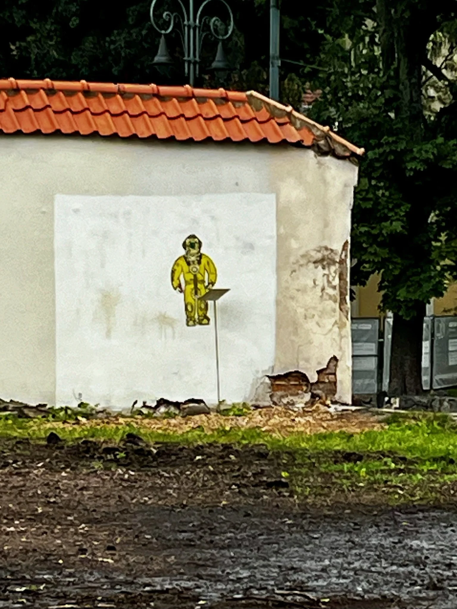 IMG_4709.jpeg