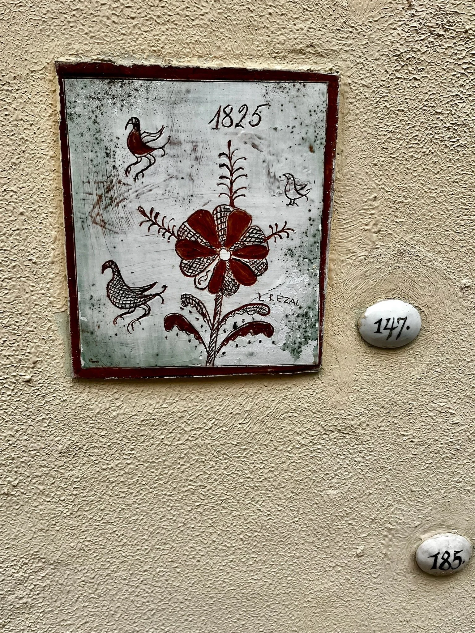 IMG_4814.jpeg