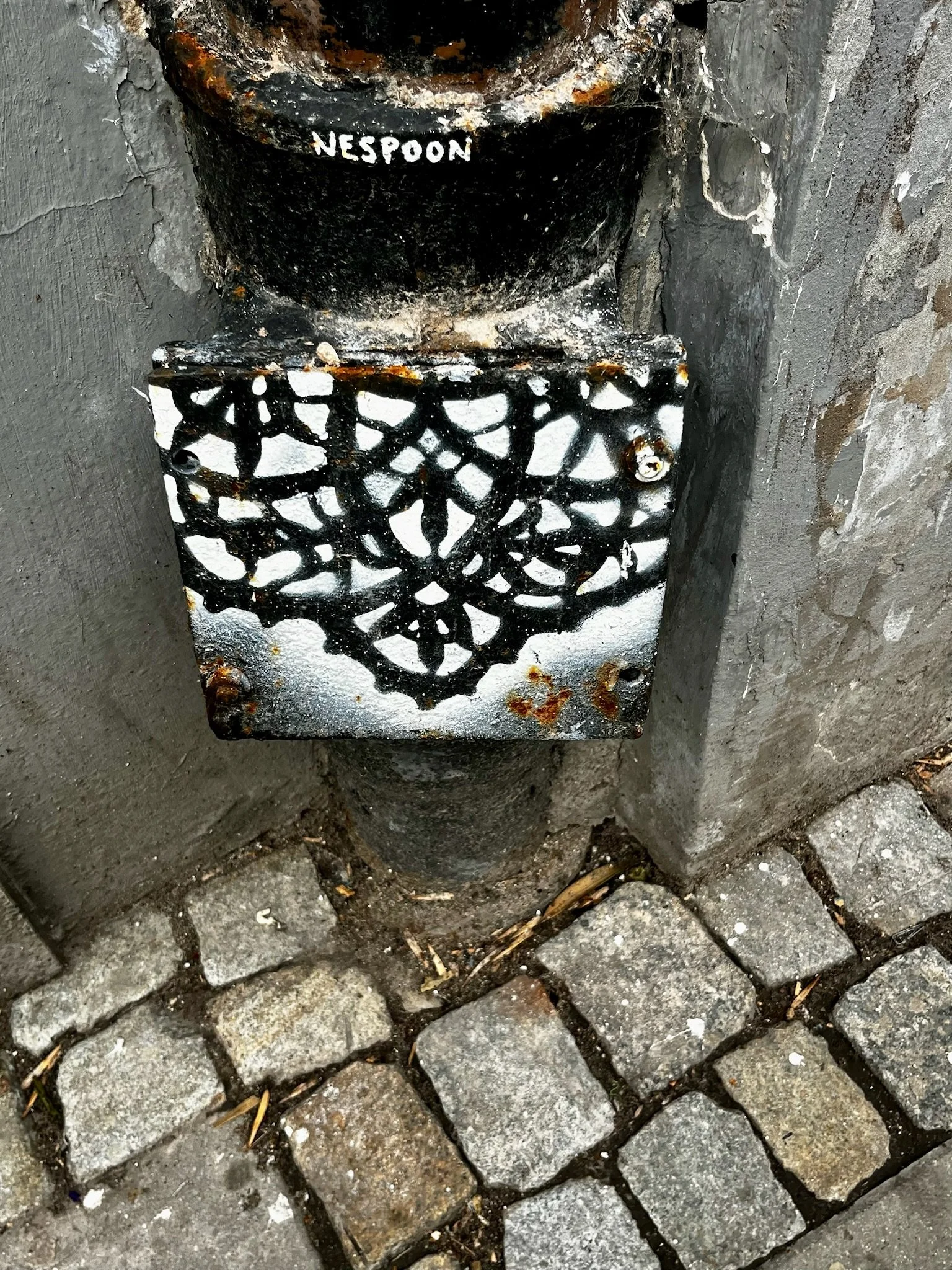 IMG_4860.jpeg
