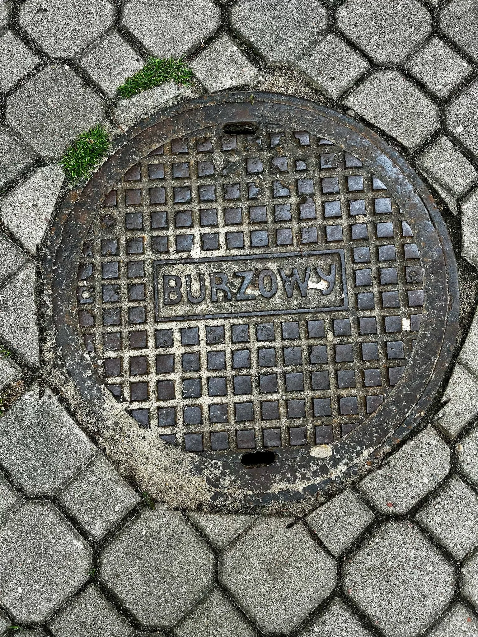 IMG_4865.jpeg