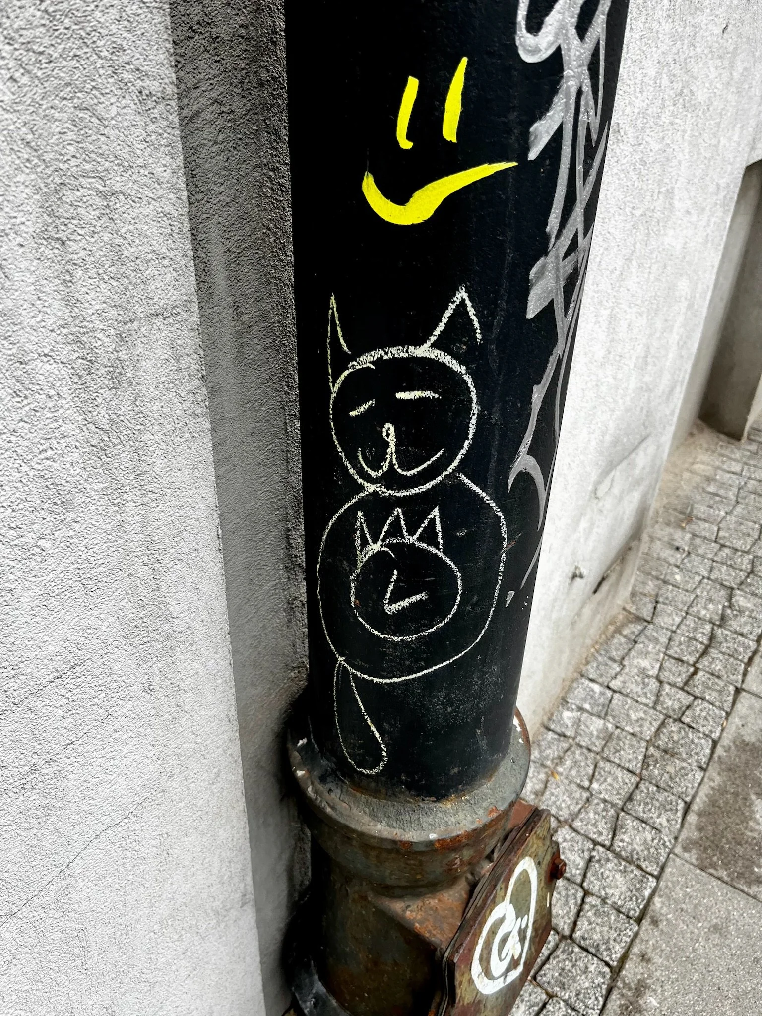 IMG_4870.jpeg