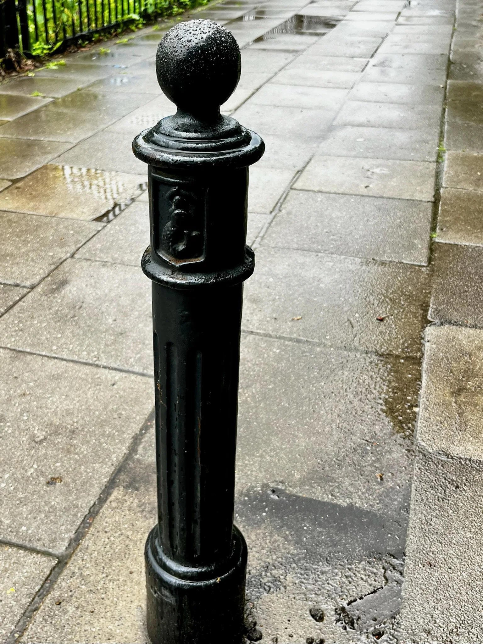 IMG_4903.jpeg