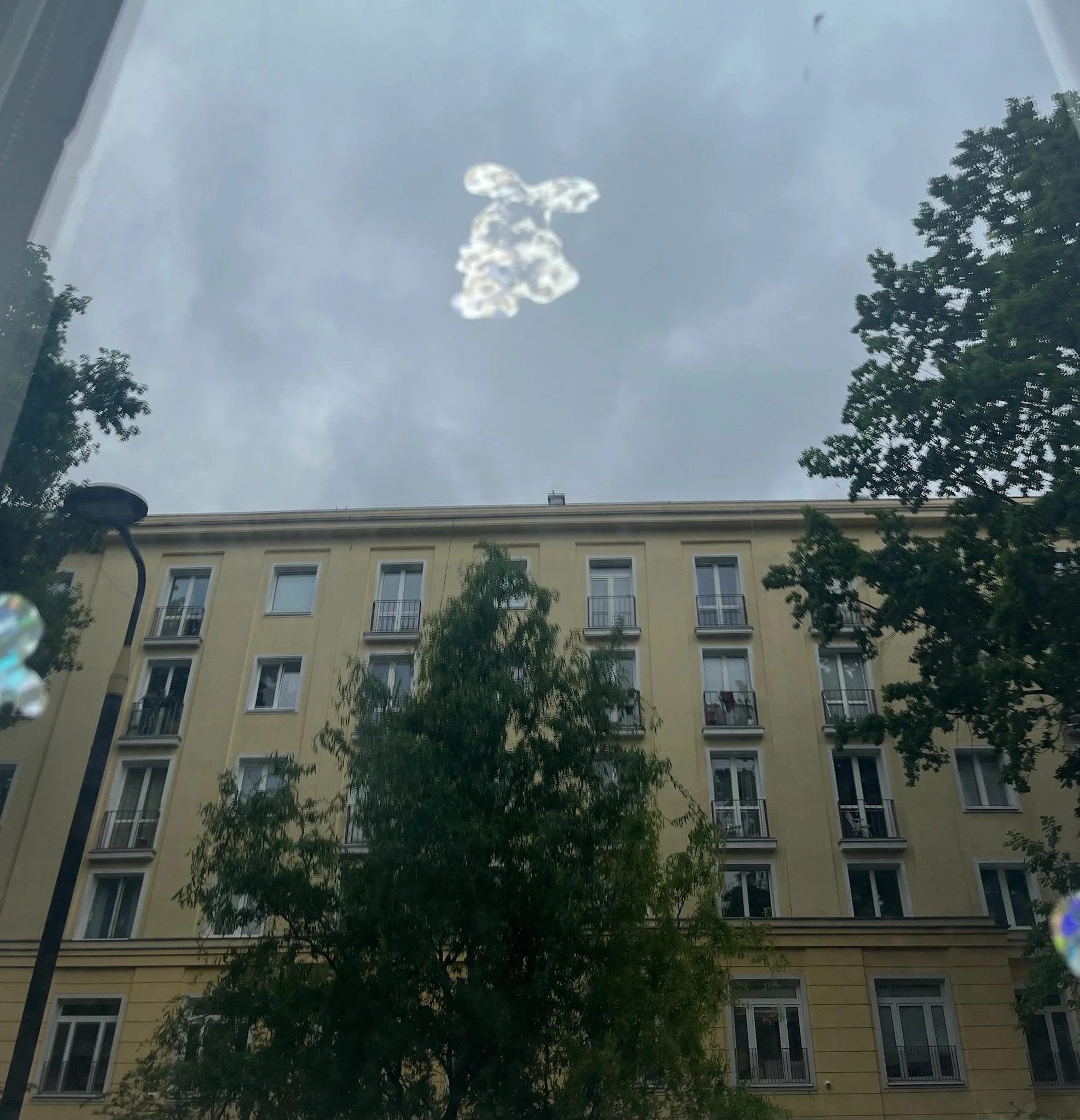 IMG_1514.jpeg