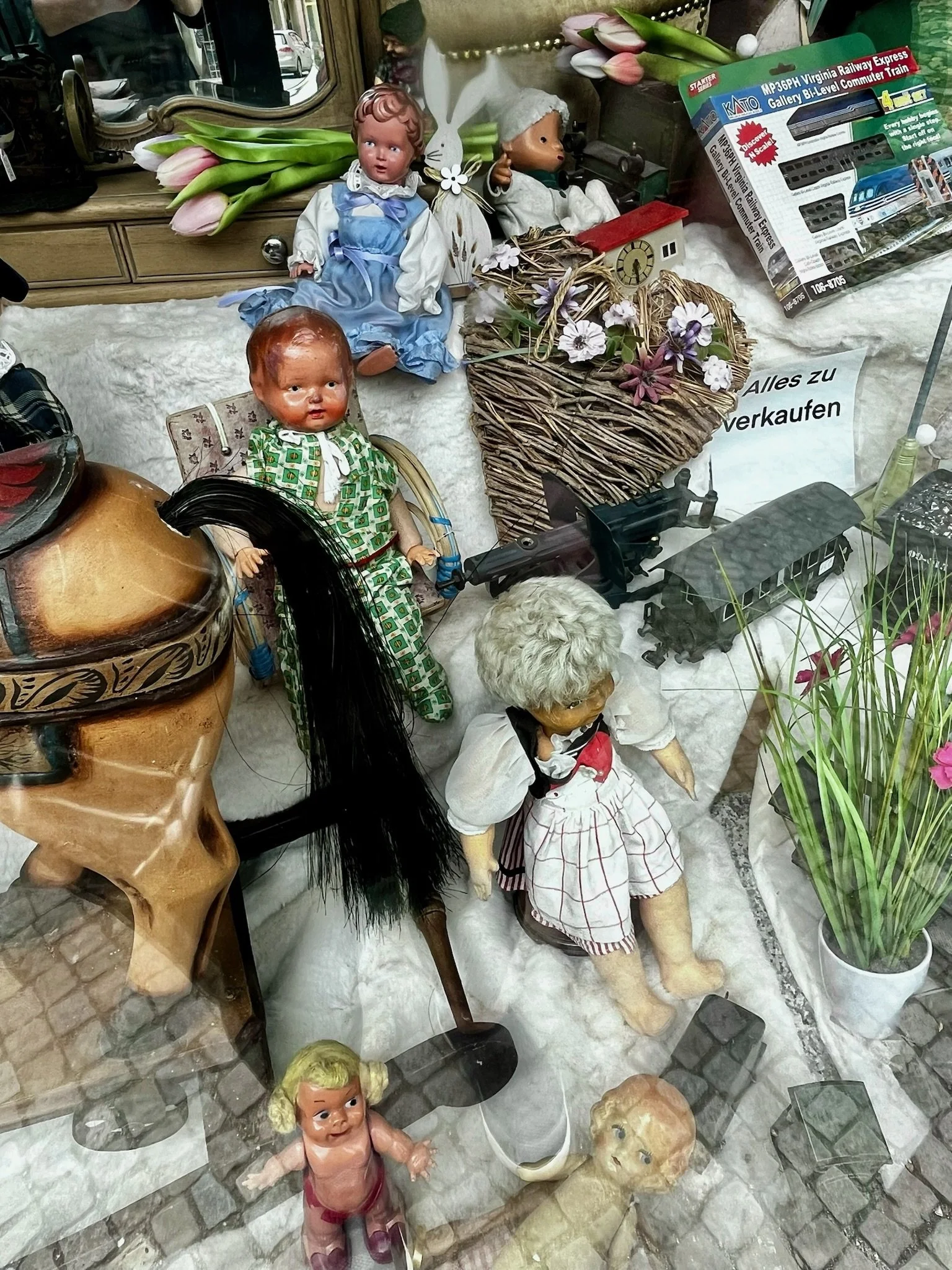 IMG_5066.jpeg