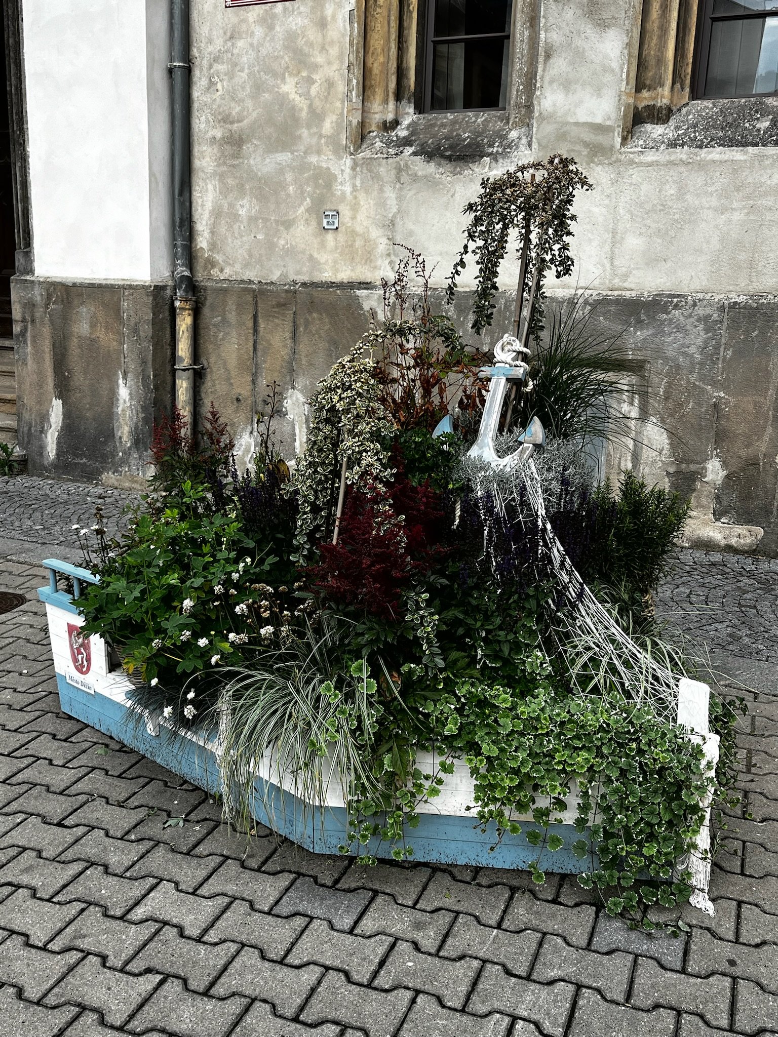 IMG_5180.jpeg