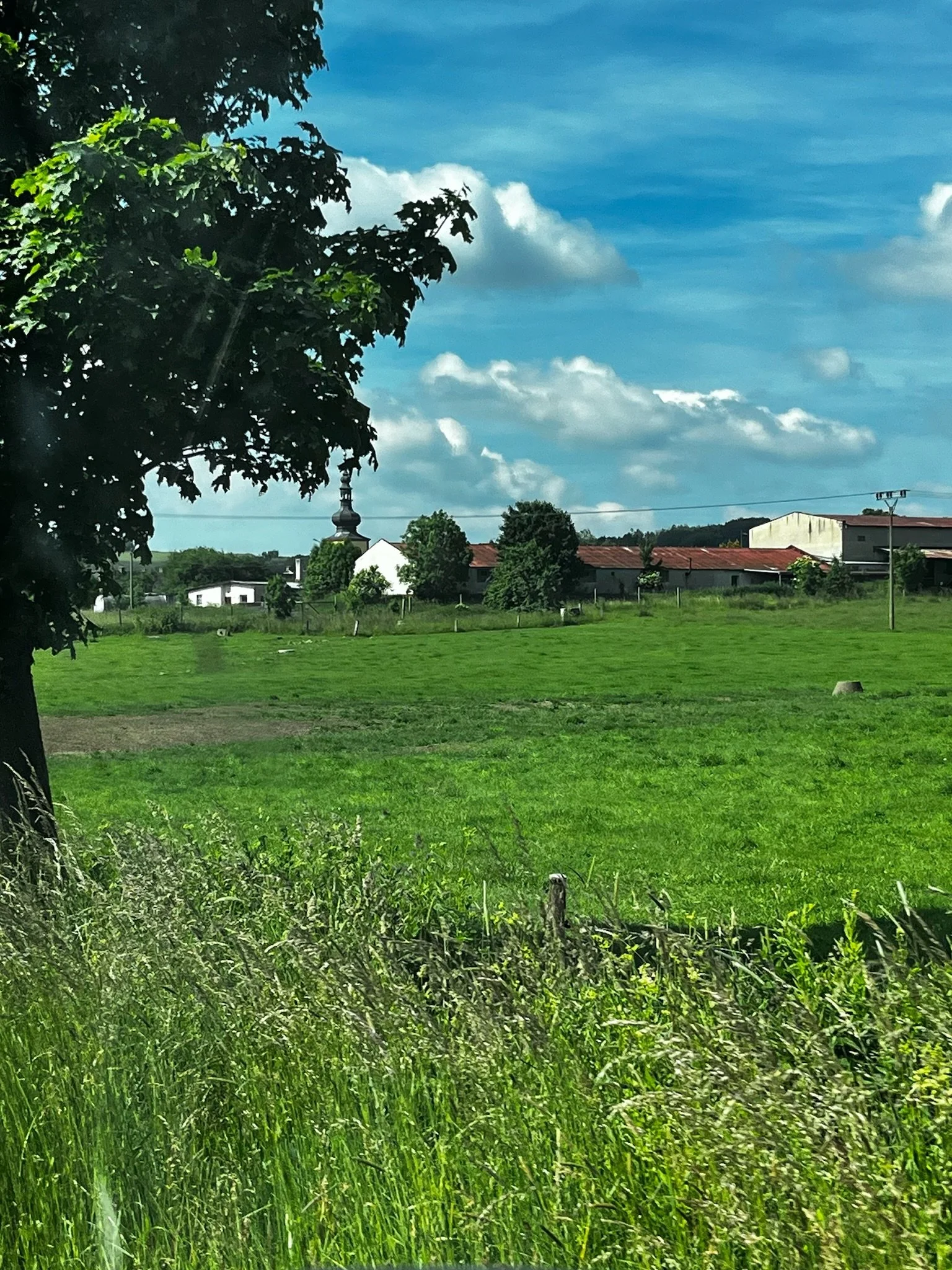 IMG_5222.jpeg