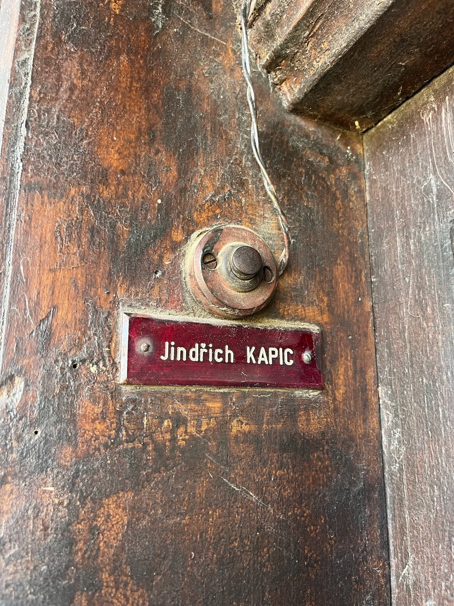 IMG_1686.jpeg