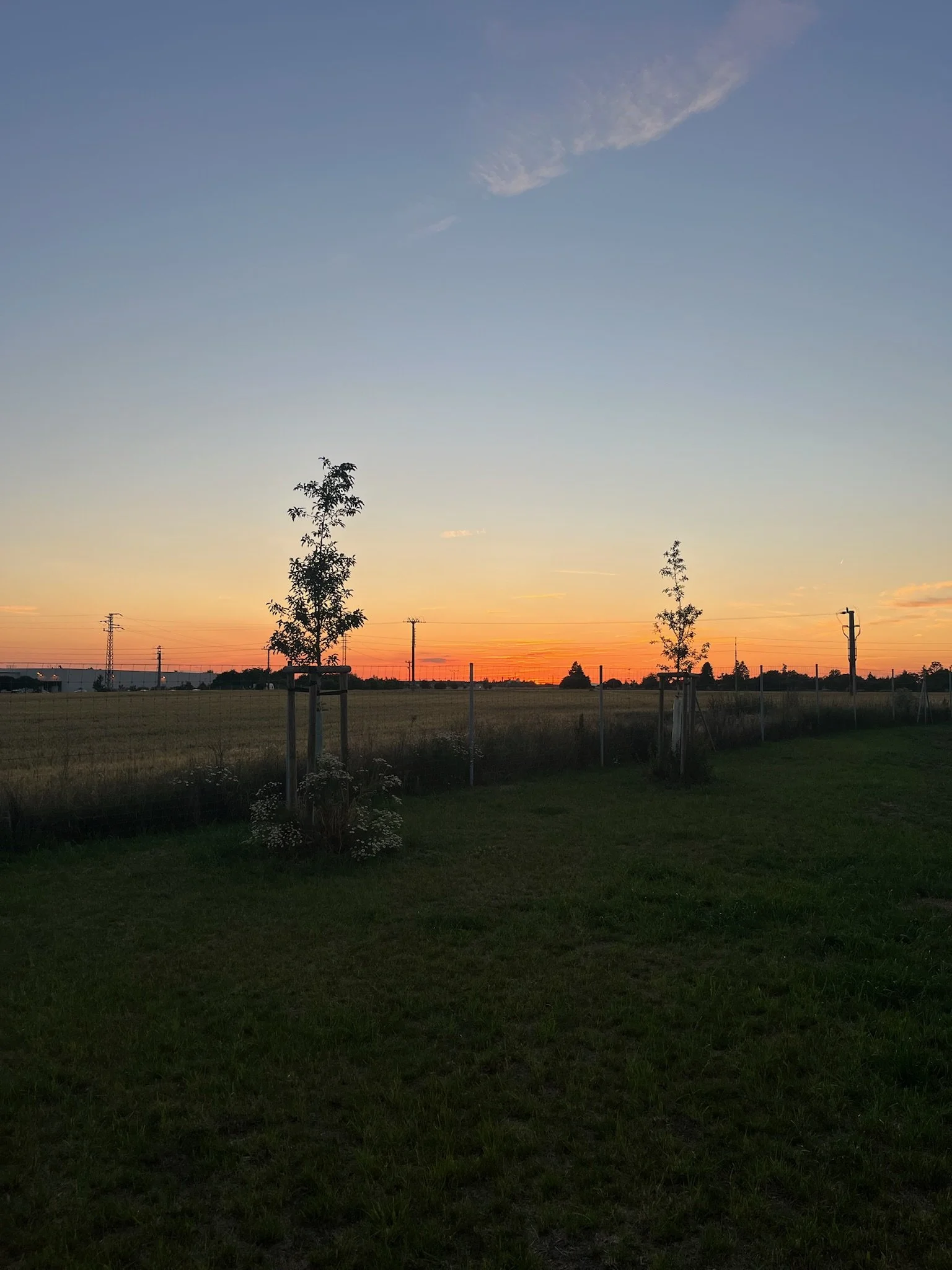 IMG_1700.jpeg