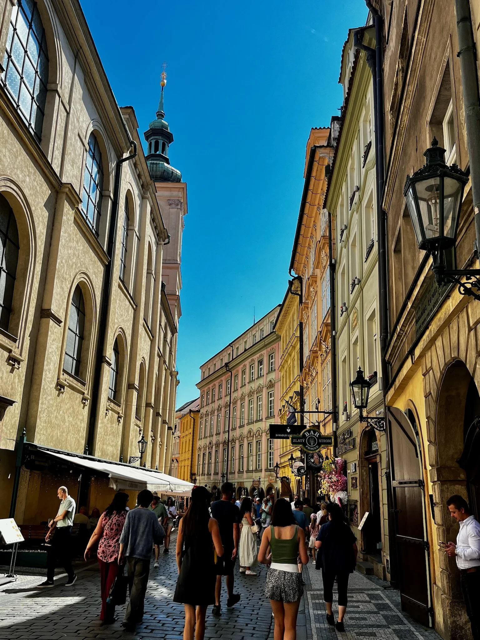 IMG_5388.jpeg