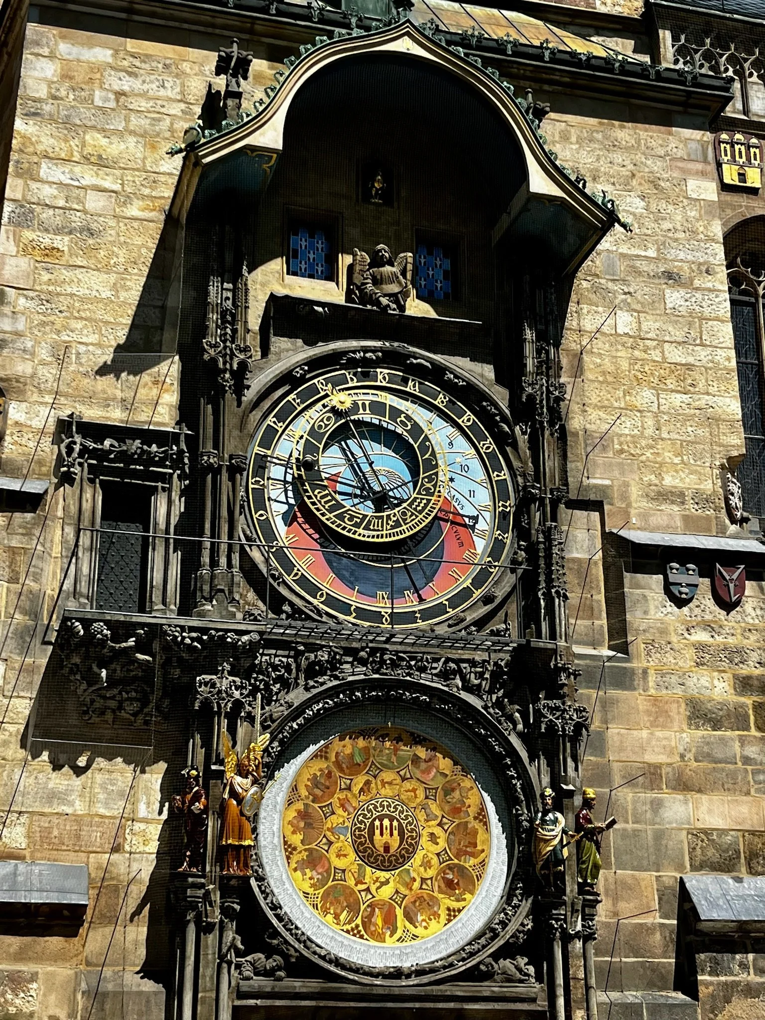 IMG_5401.jpeg