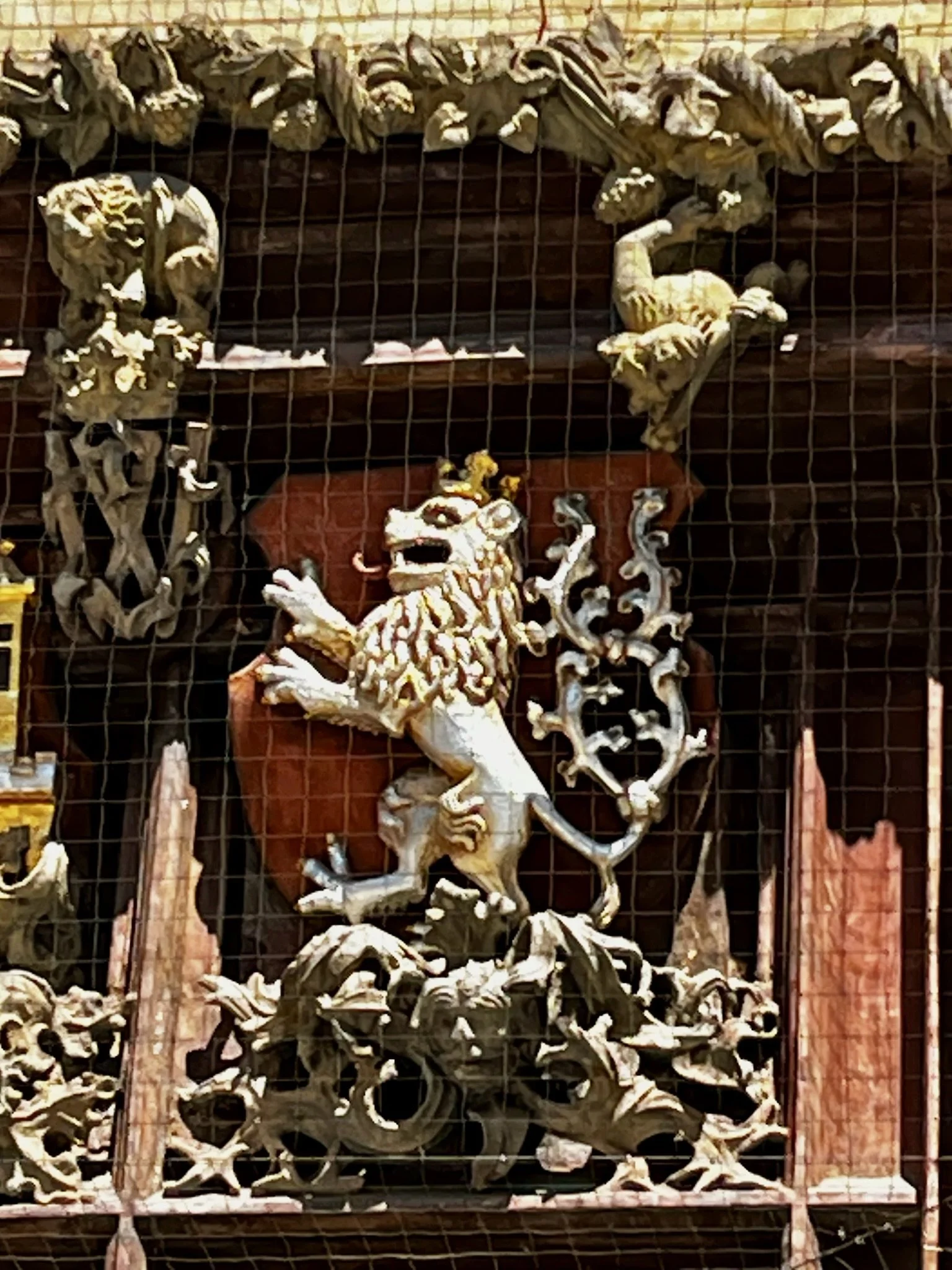 IMG_5412.jpeg