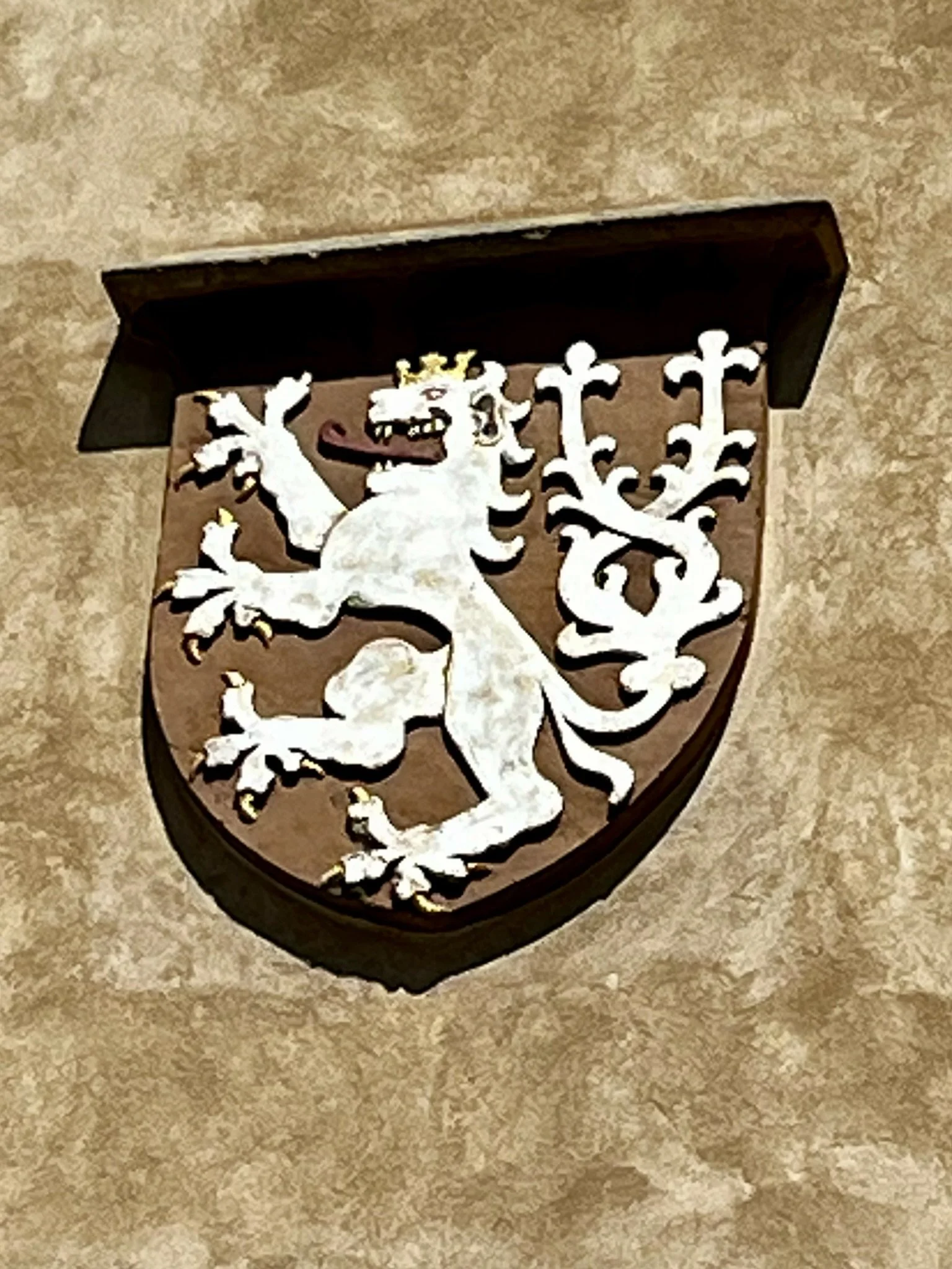 IMG_5413.jpeg