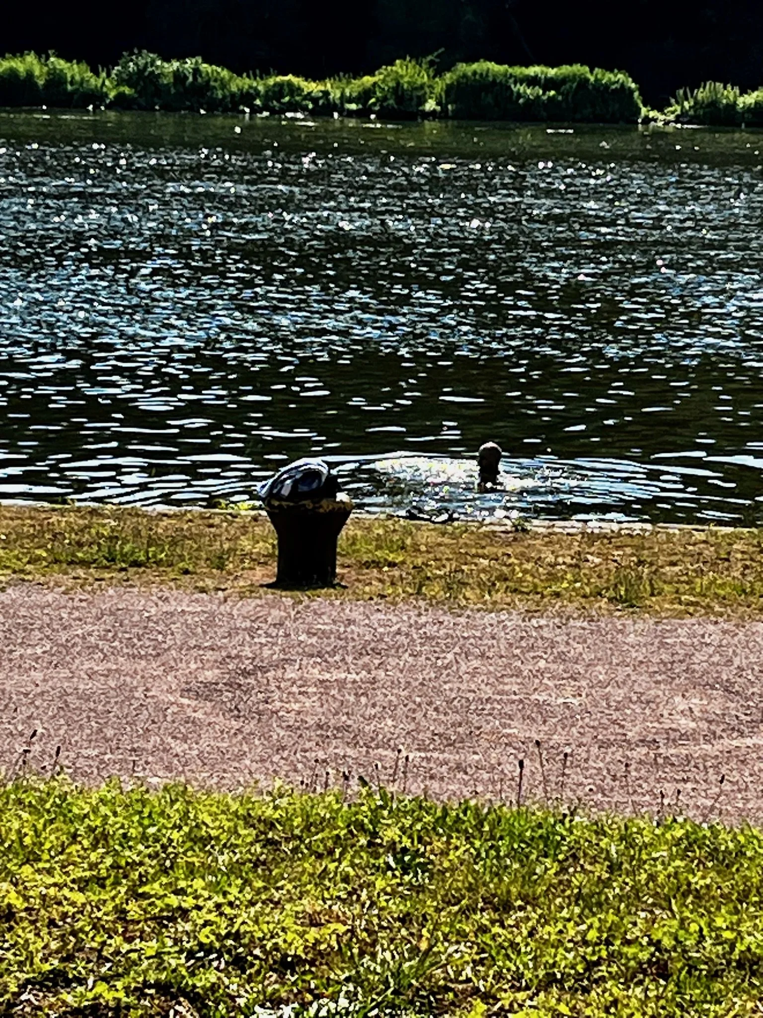 IMG_5484.jpeg