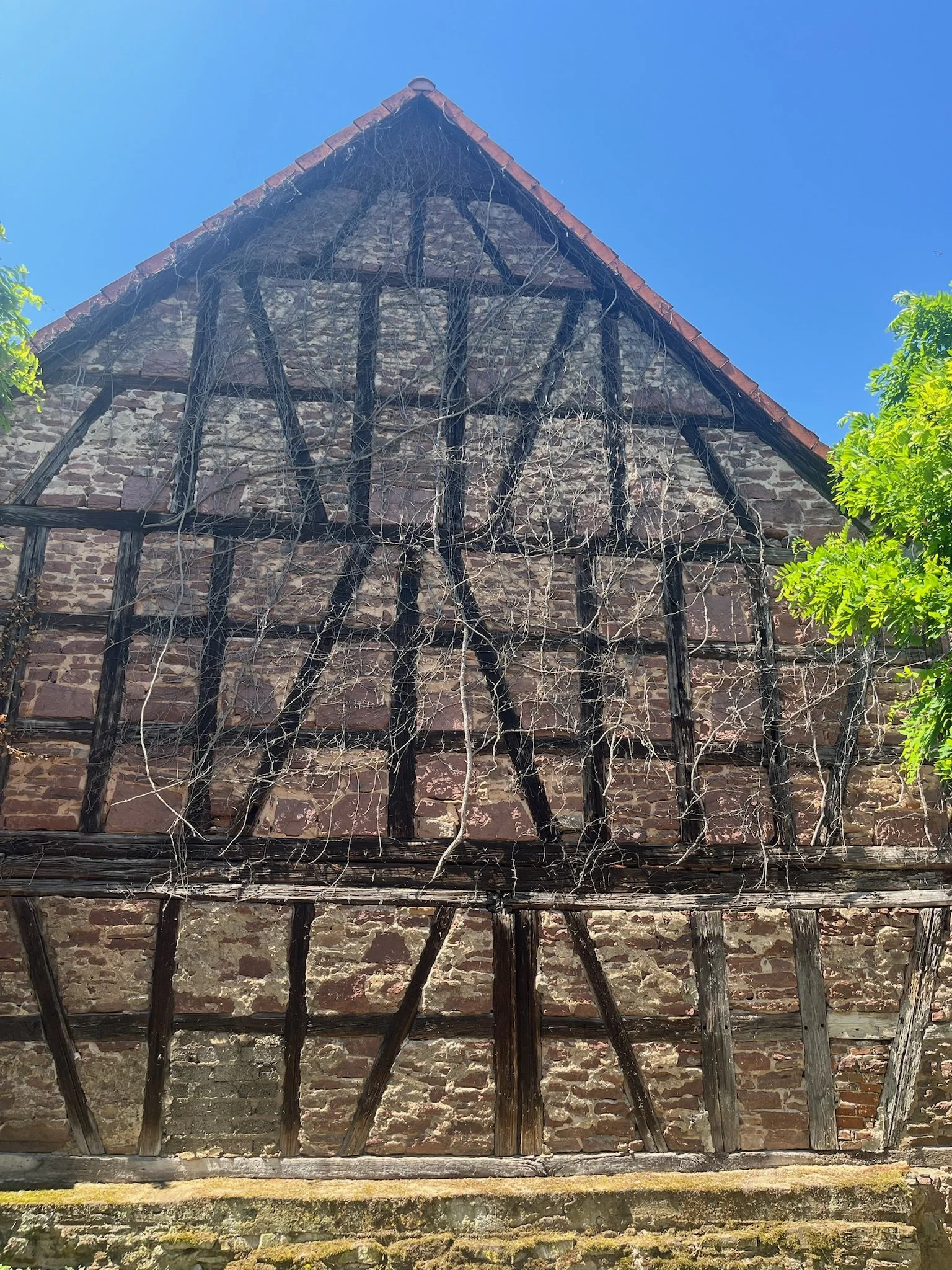 IMG_1758.jpeg