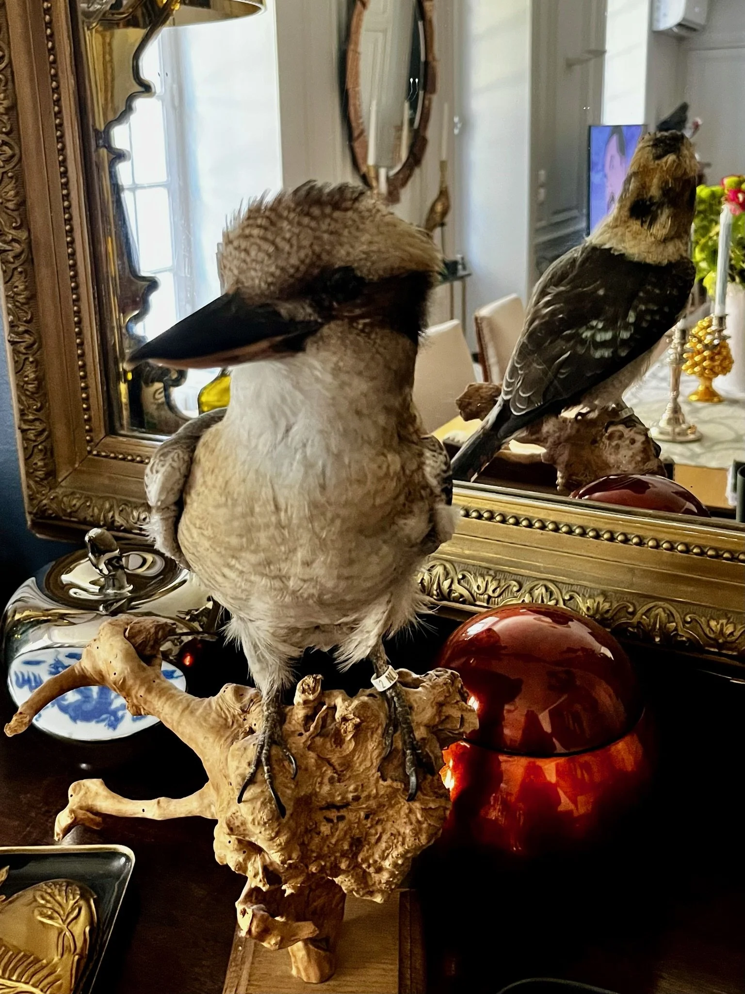IMG_5552.jpeg