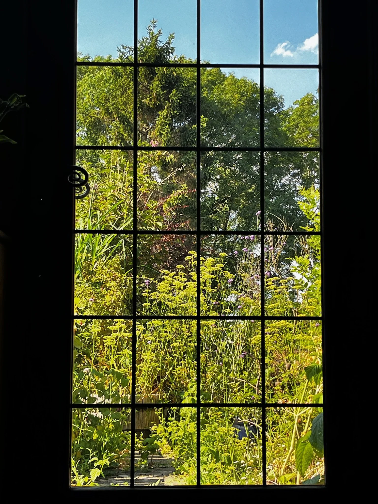 IMG_5825.jpeg
