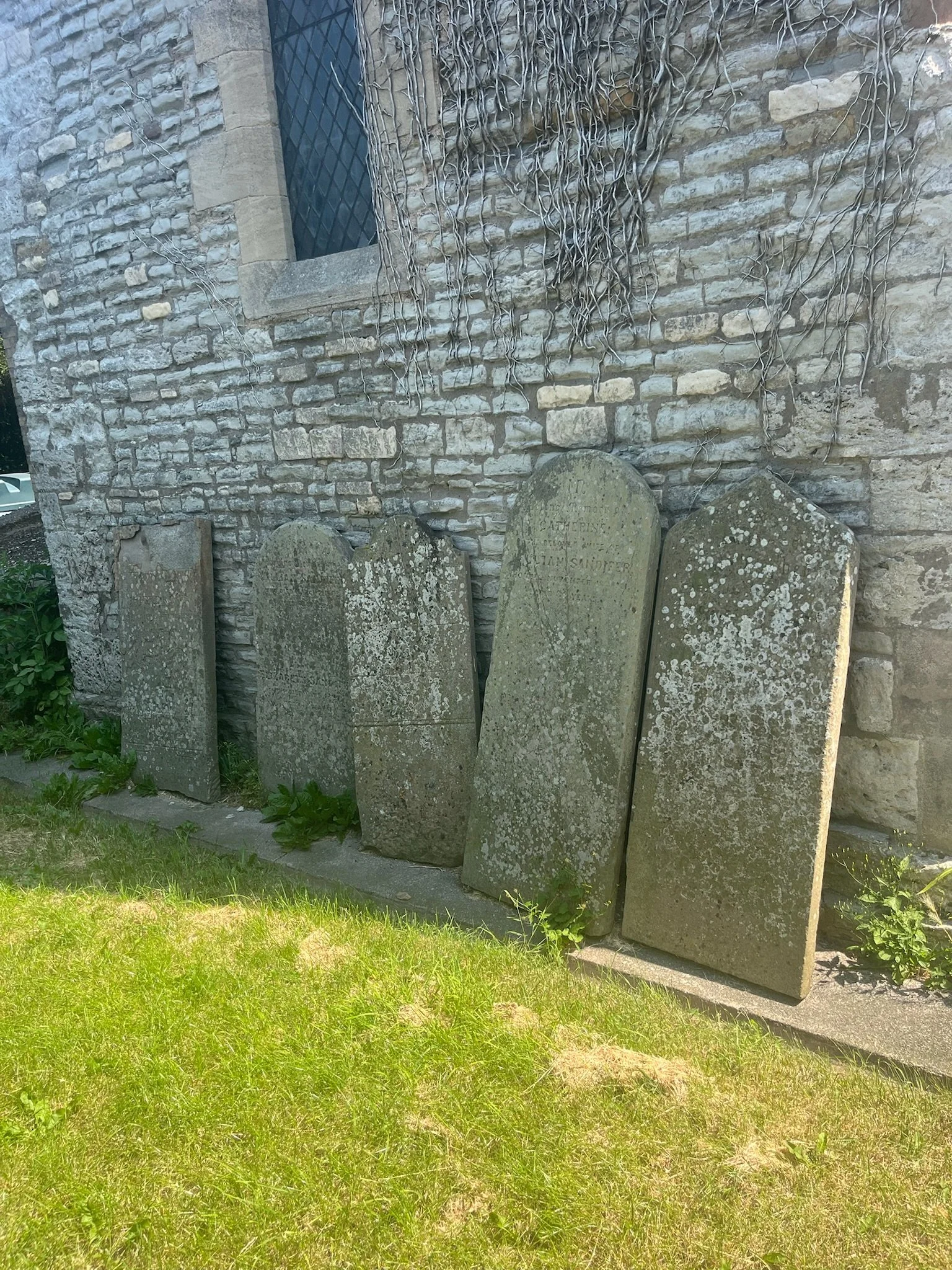 IMG_1868.jpeg