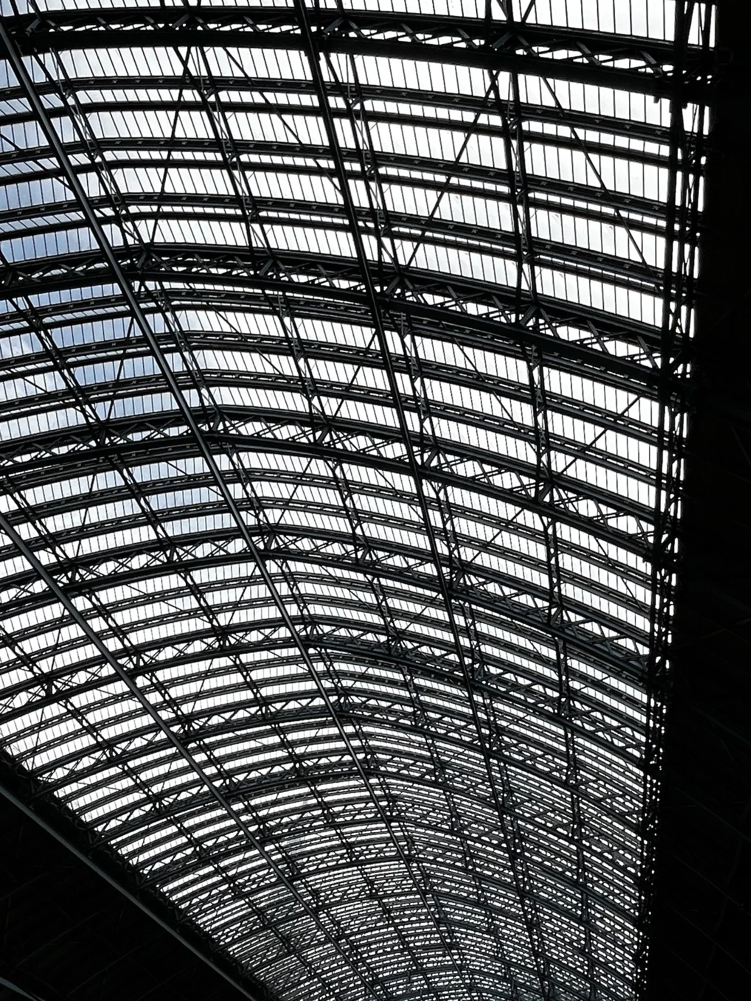 IMG_5895.jpeg