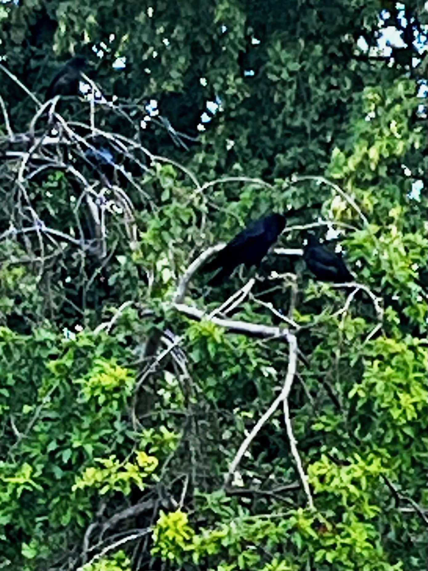 IMG_5902.jpeg