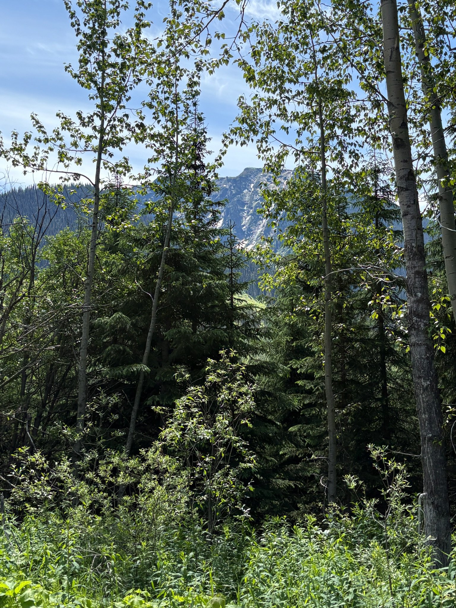 IMG_0079.jpeg