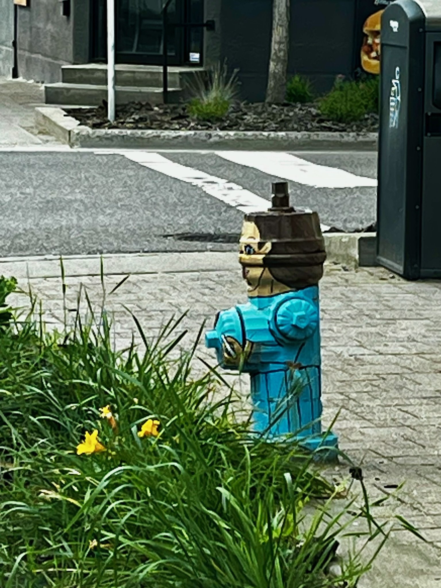 IMG_6161.jpeg