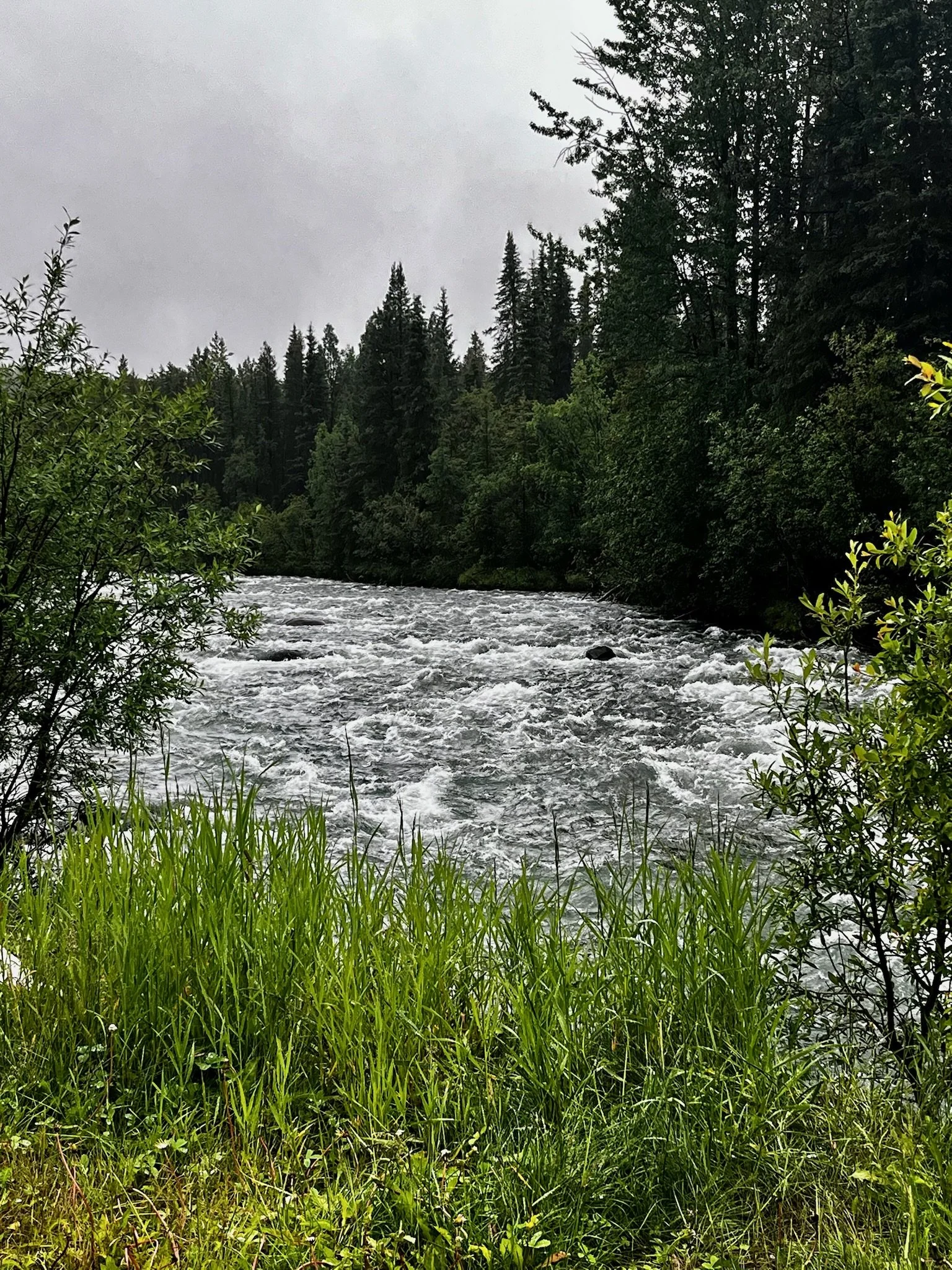 IMG_6329.jpeg