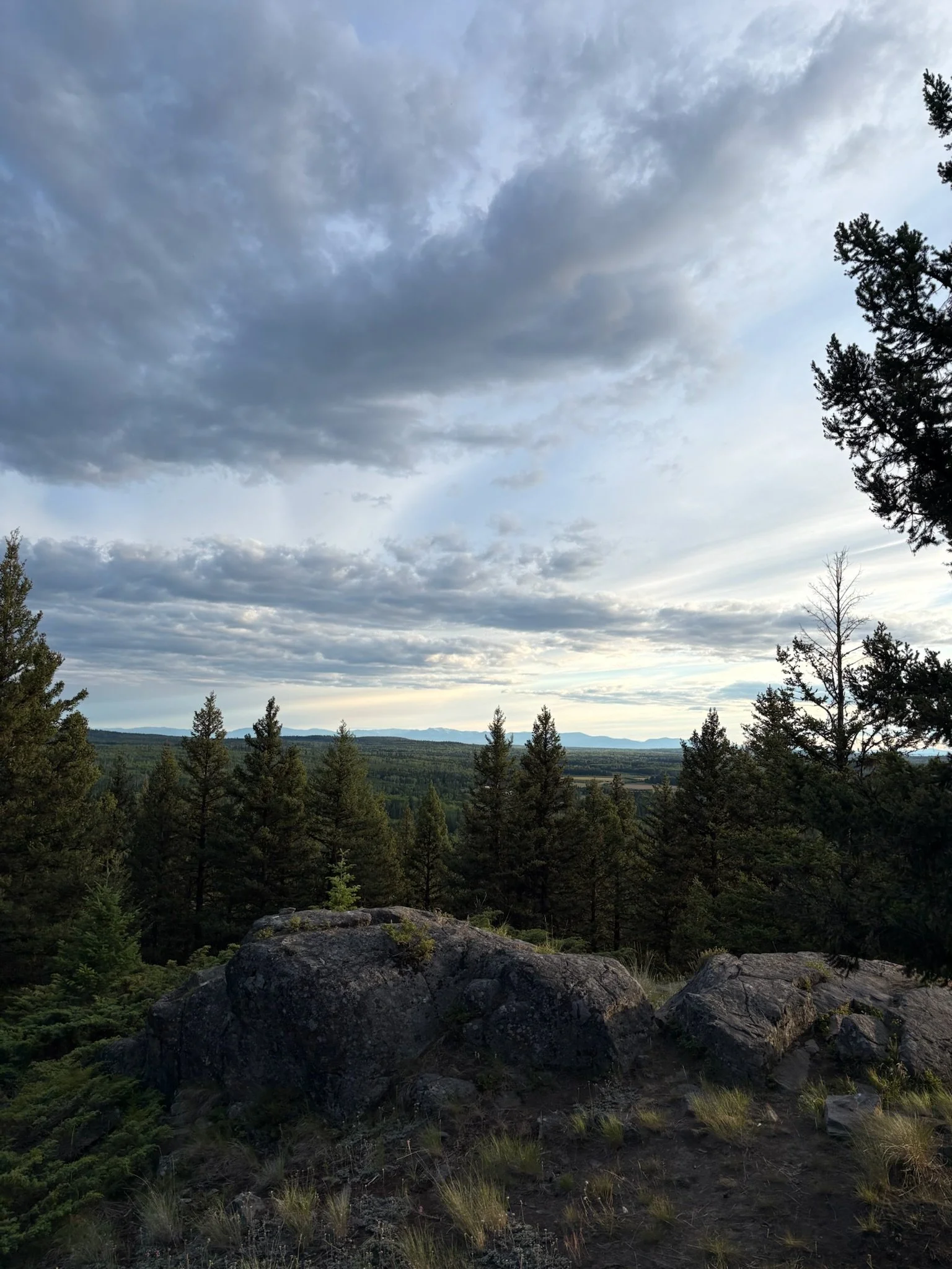 IMG_0286.jpeg