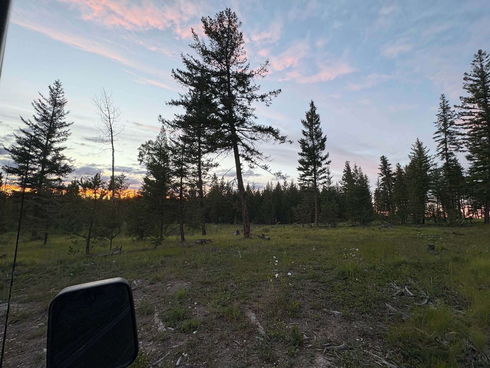 IMG_0294.jpeg