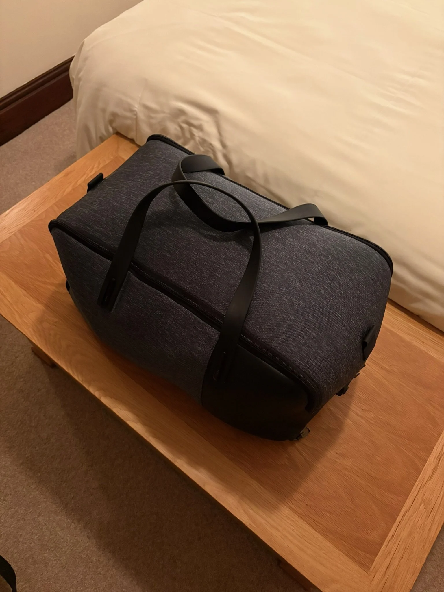 IMG_1381.jpeg
