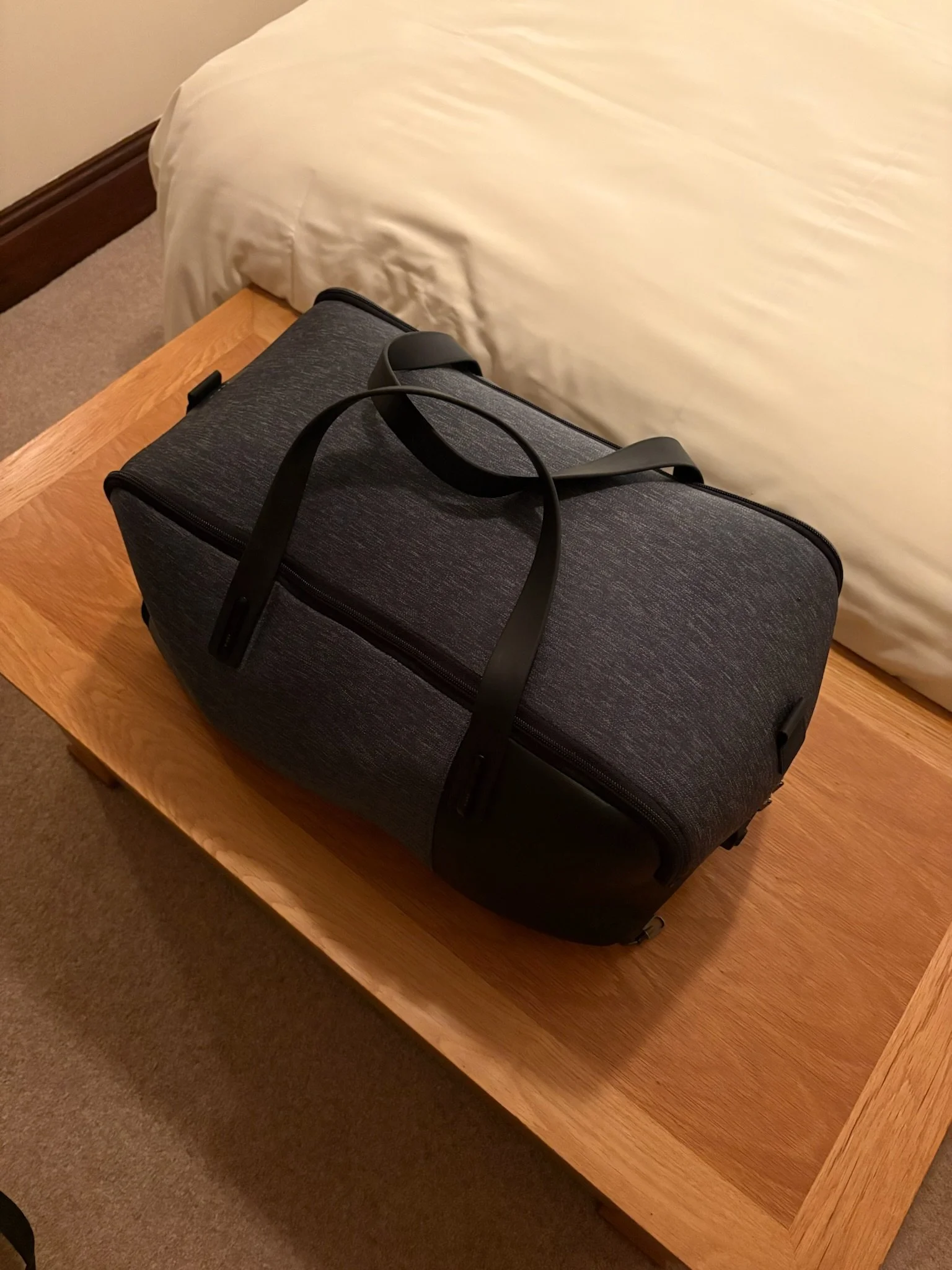 IMG_1381.jpeg