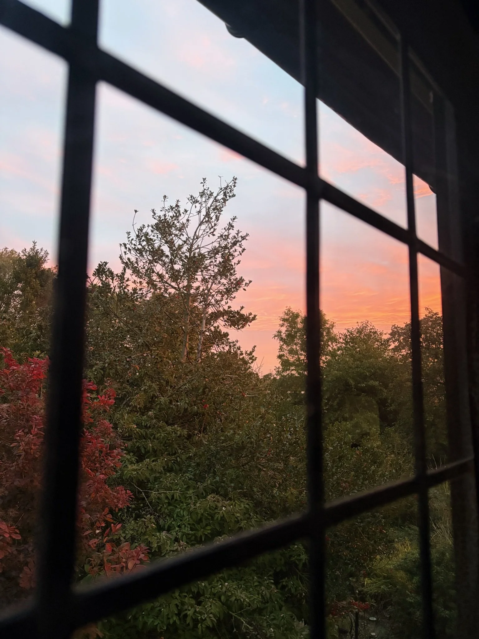 IMG_1390.jpeg