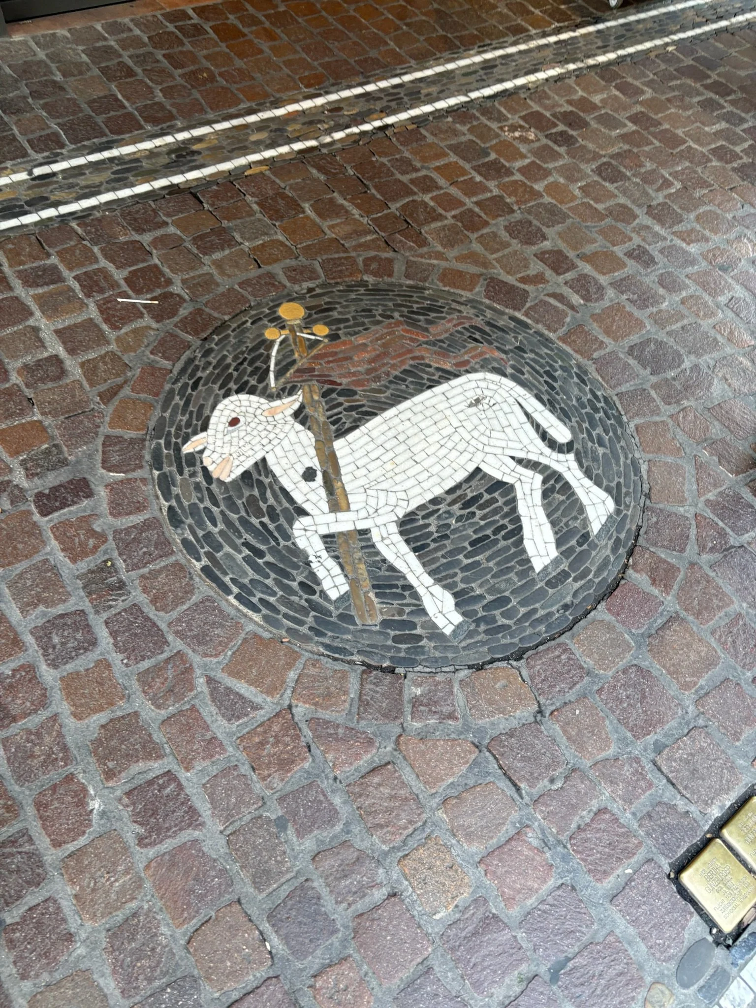 IMG_1453.jpeg