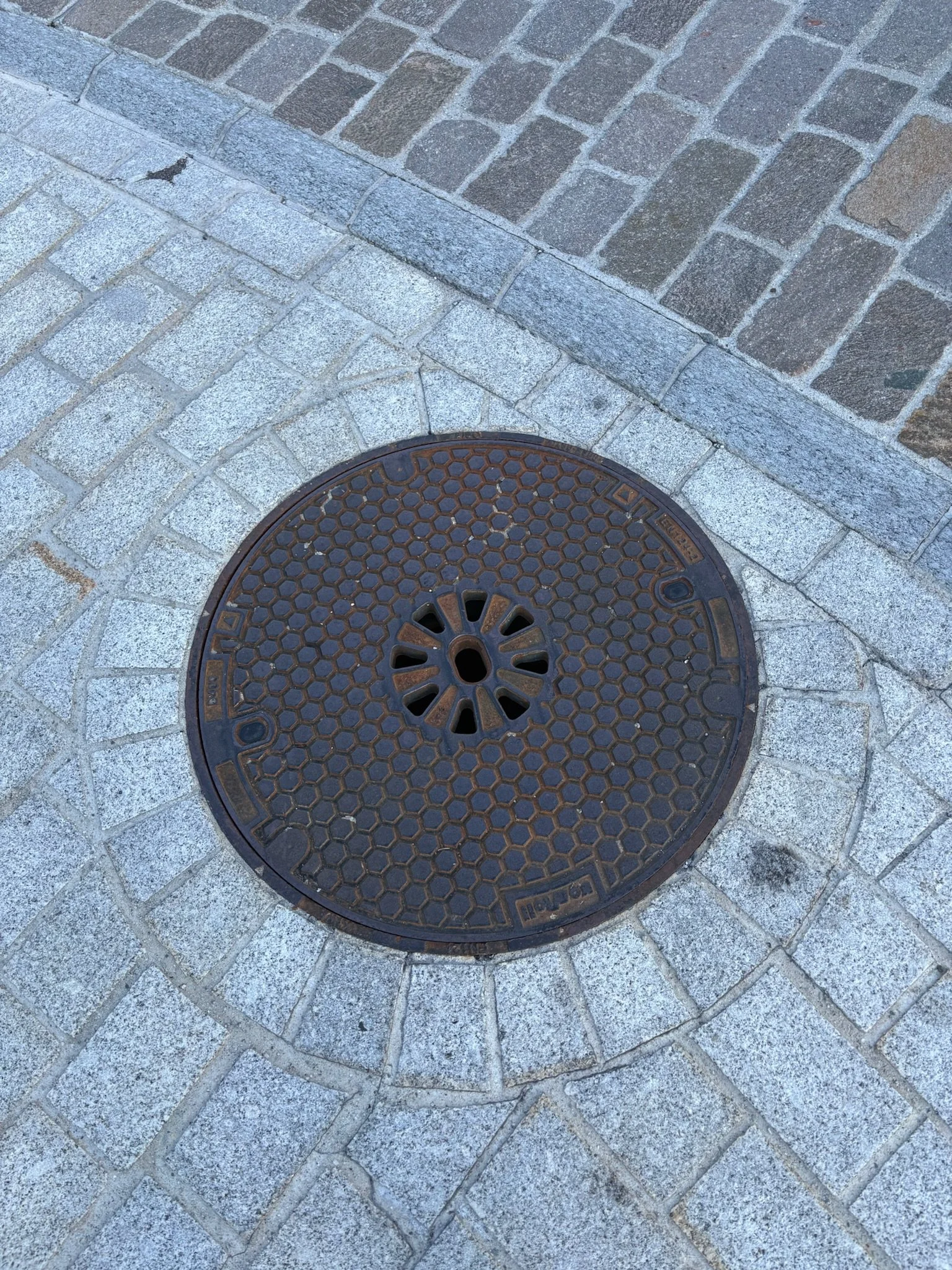 IMG_1481.jpeg
