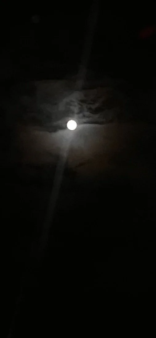 IMG_7139.jpeg
