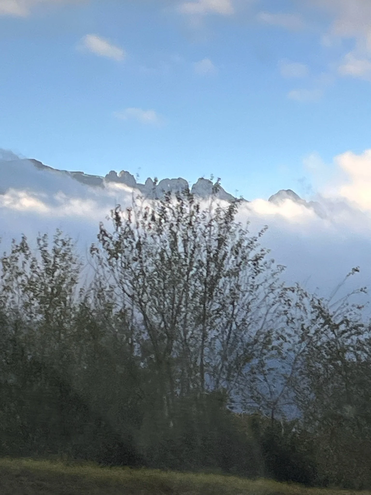 IMG_7236.jpeg