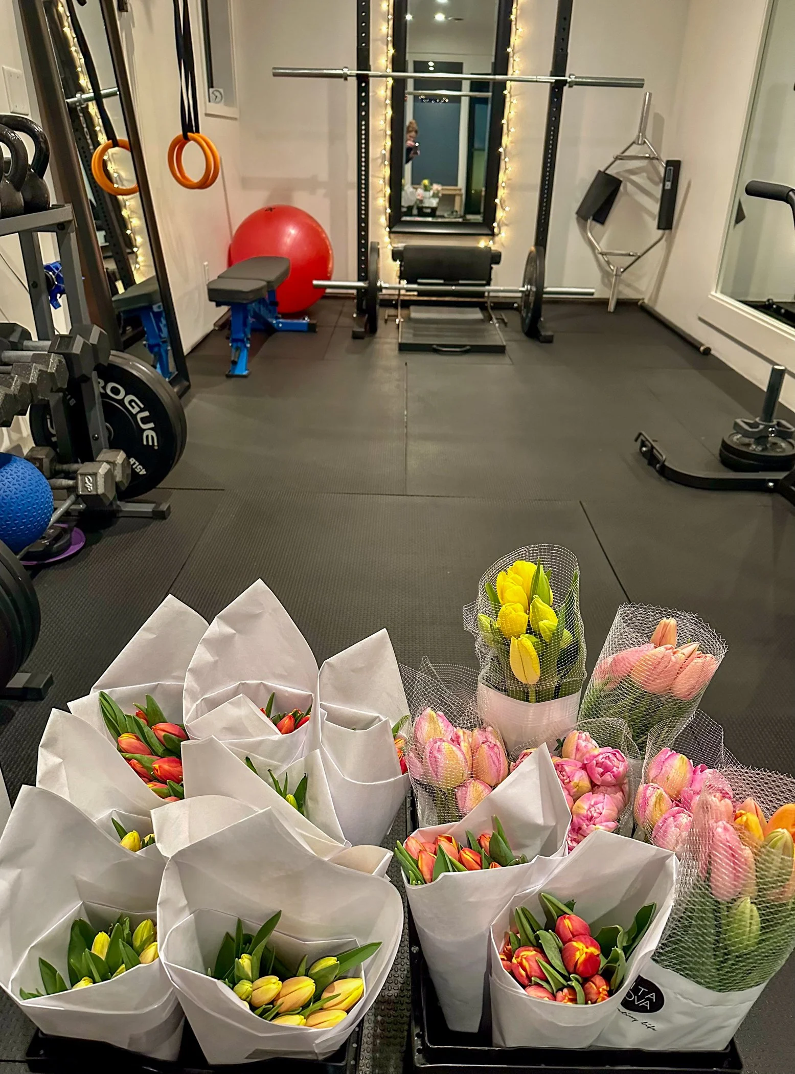 Tulips!