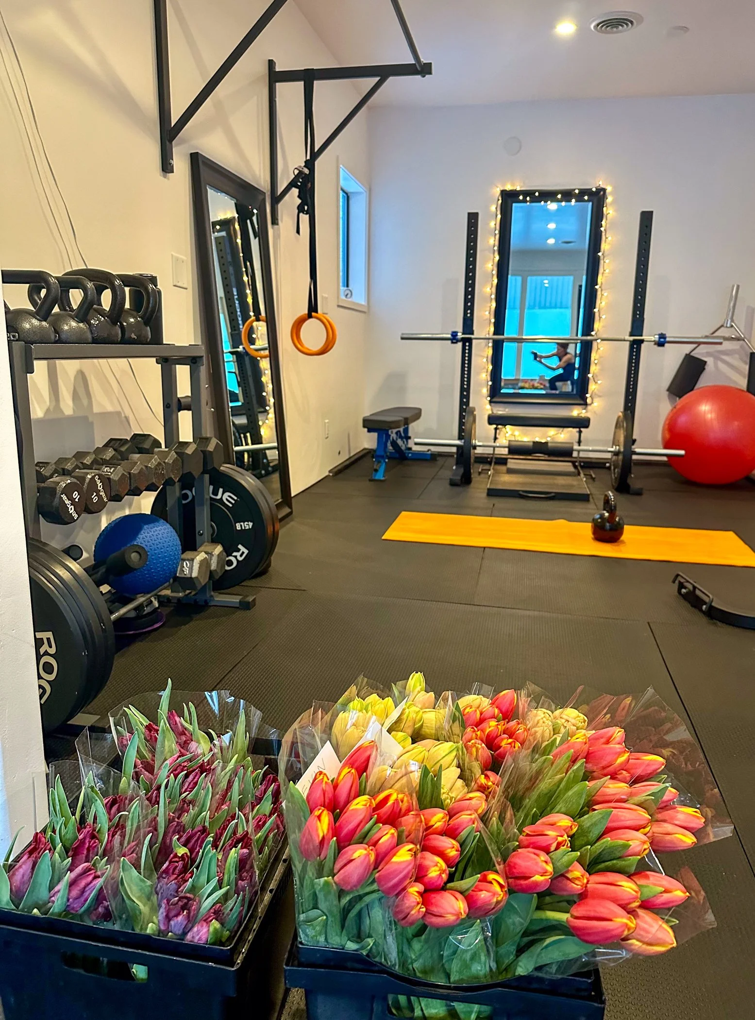  French Tulips and Parrot Tulips