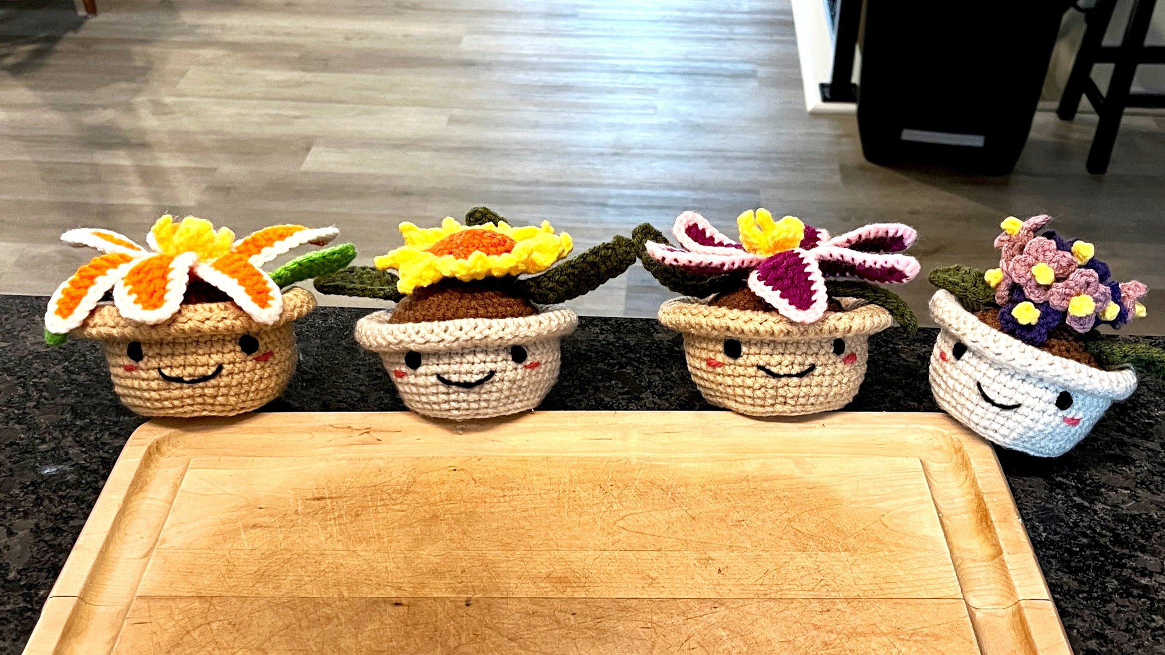 Crochet - Potted Plants