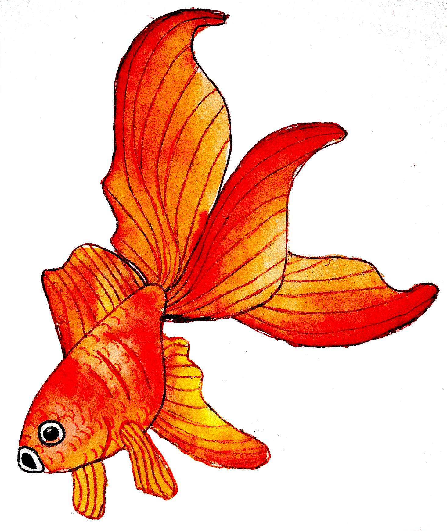 Watercolor, colored pencil