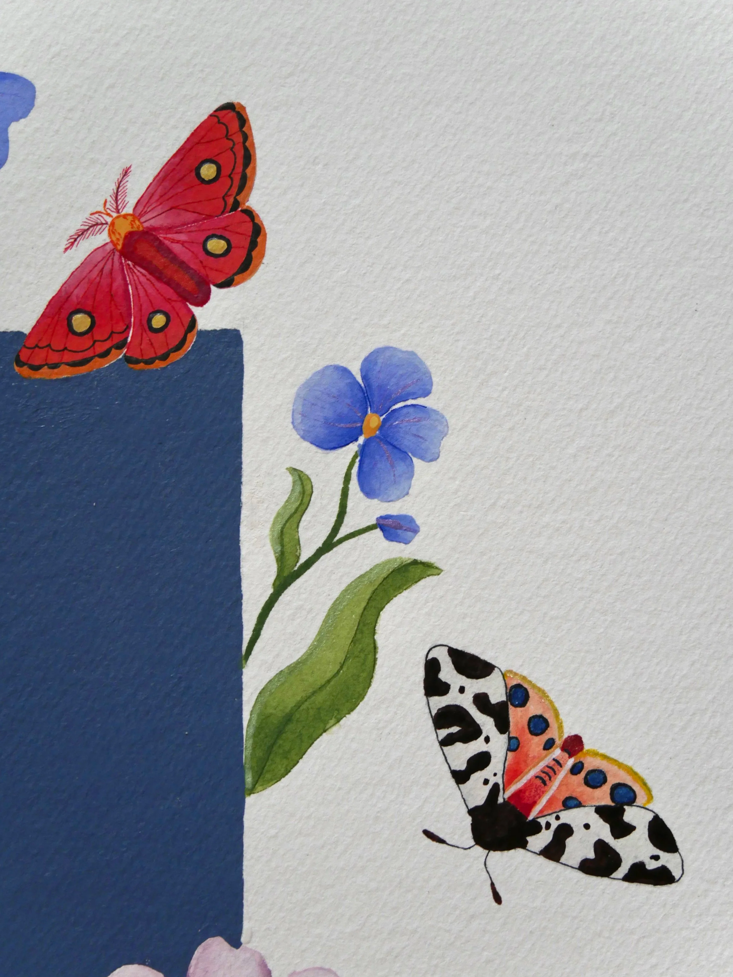 IMG_3172.png