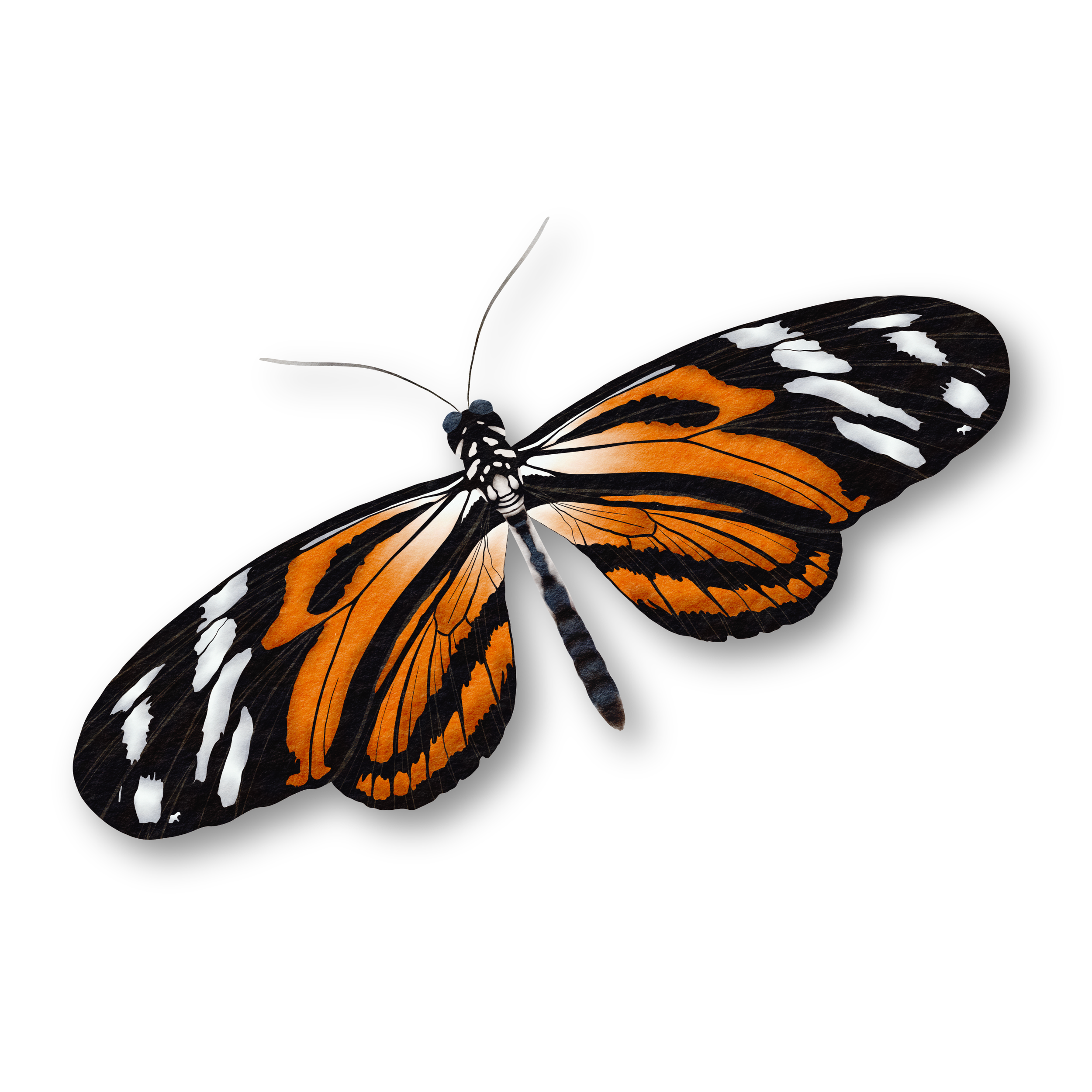 Squarespace Projects-04.png