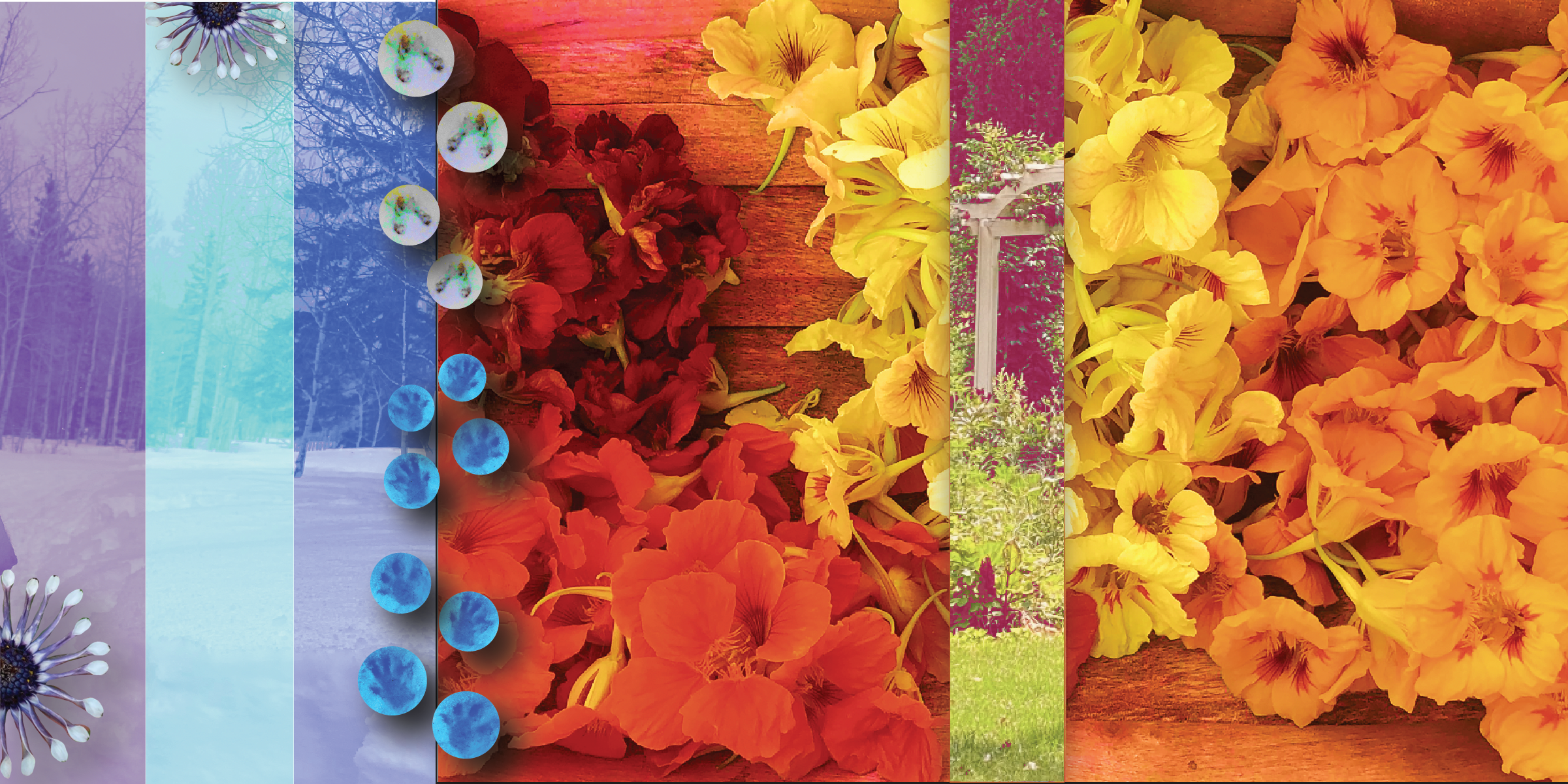 Image Based -03.png
