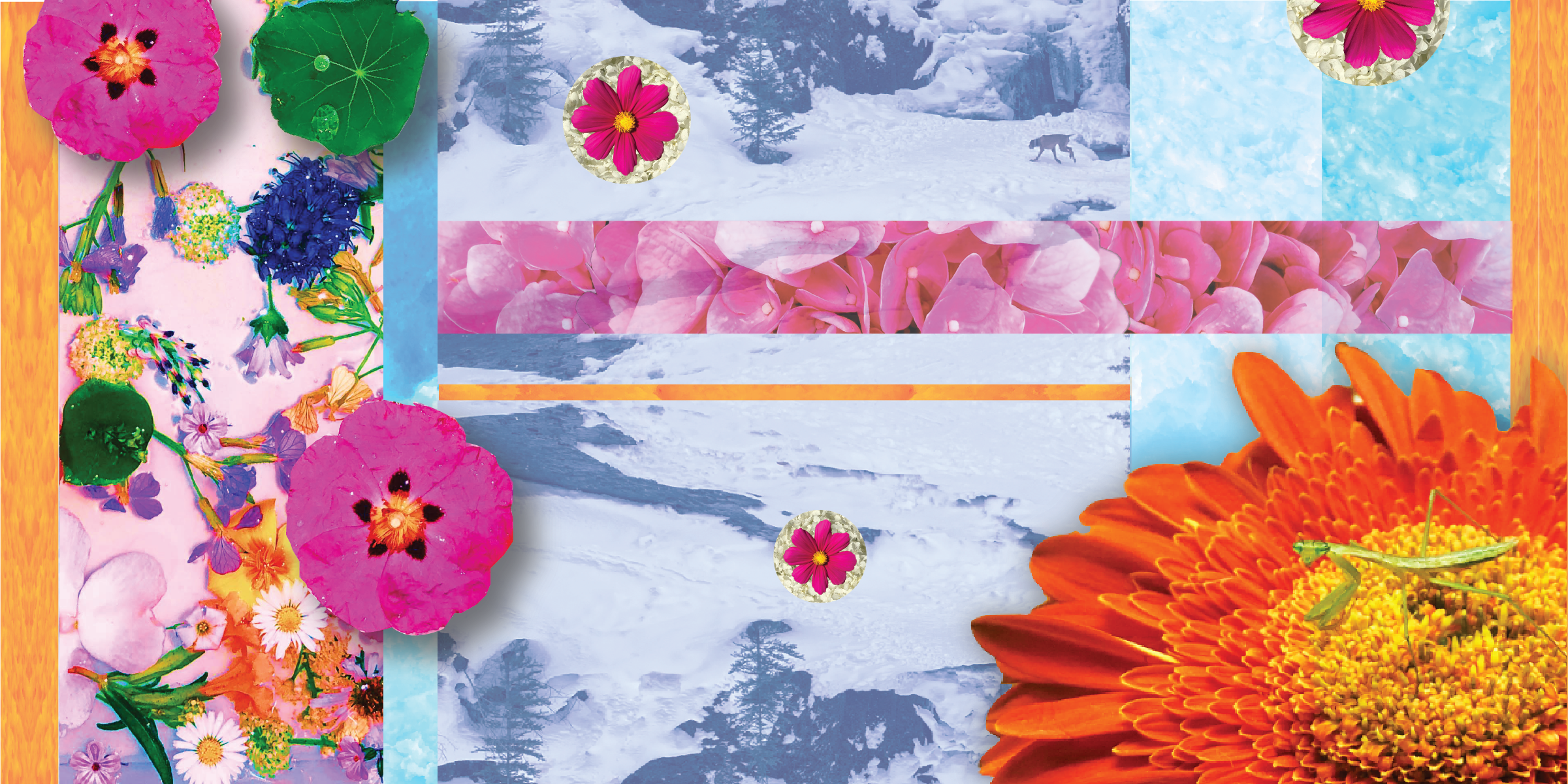 Image Based -04.png