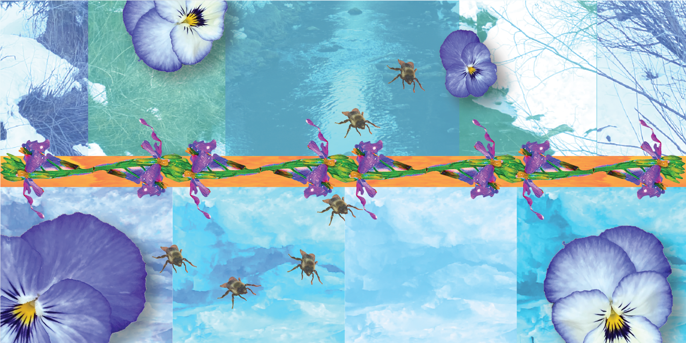 Image Based -06.png