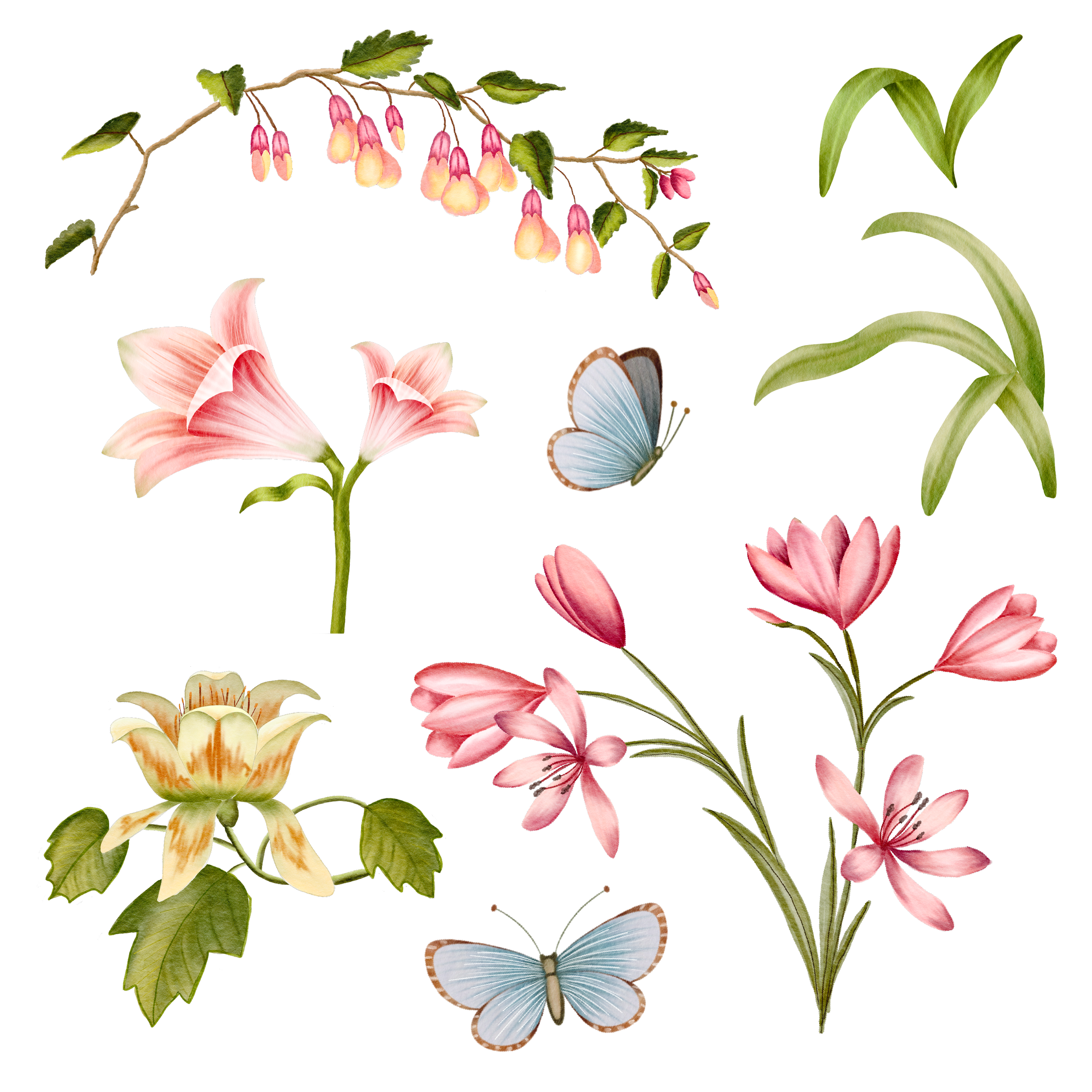 Motifs-02.png