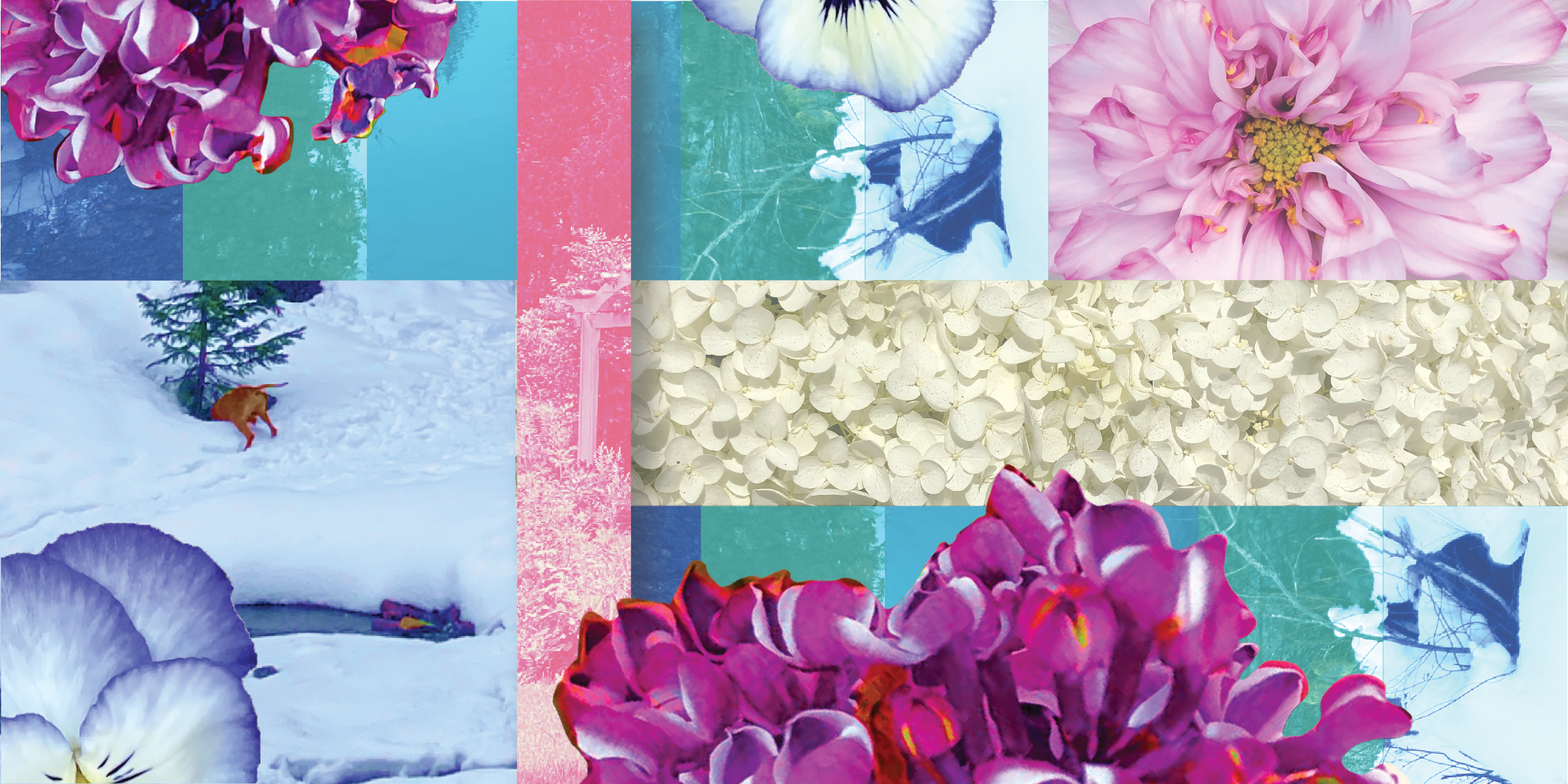 Image Based -05.png